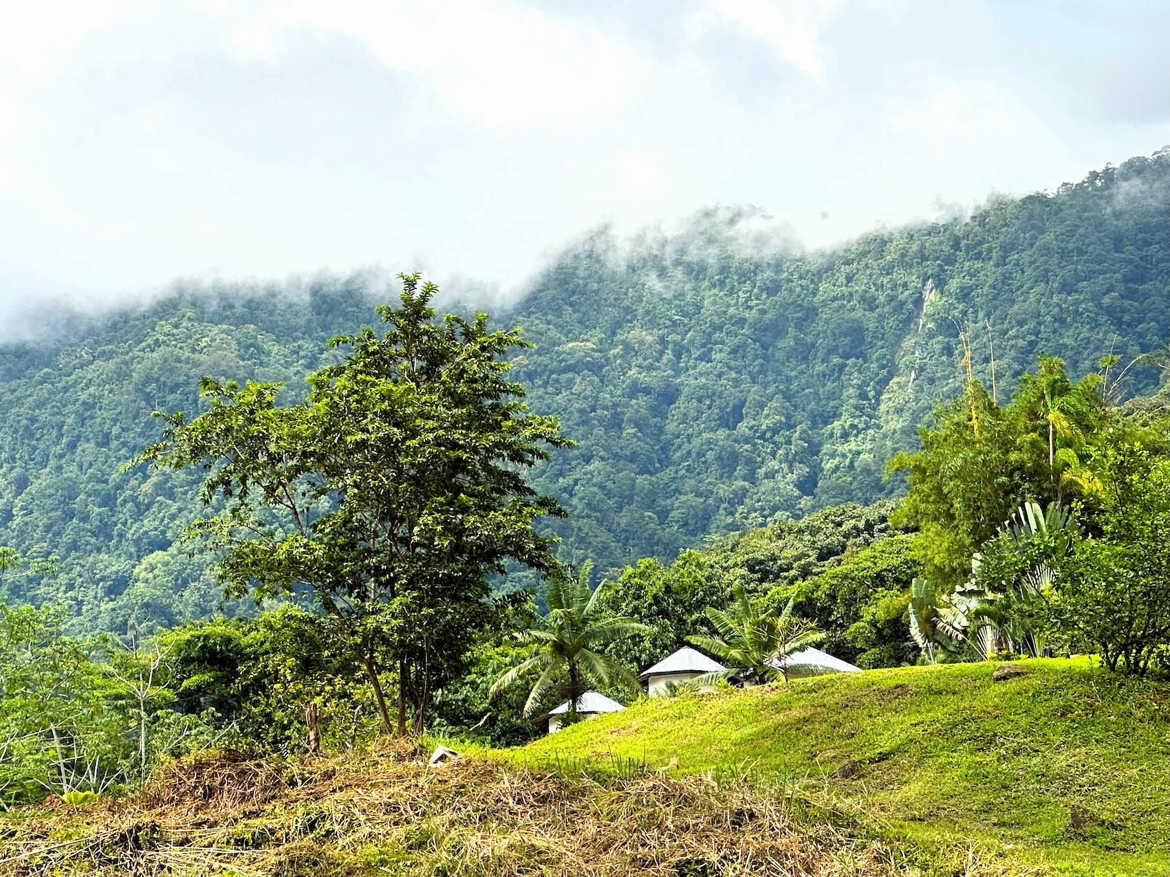 0 bed Land For Sale in Ojochal, Puntarenas - thumb 8