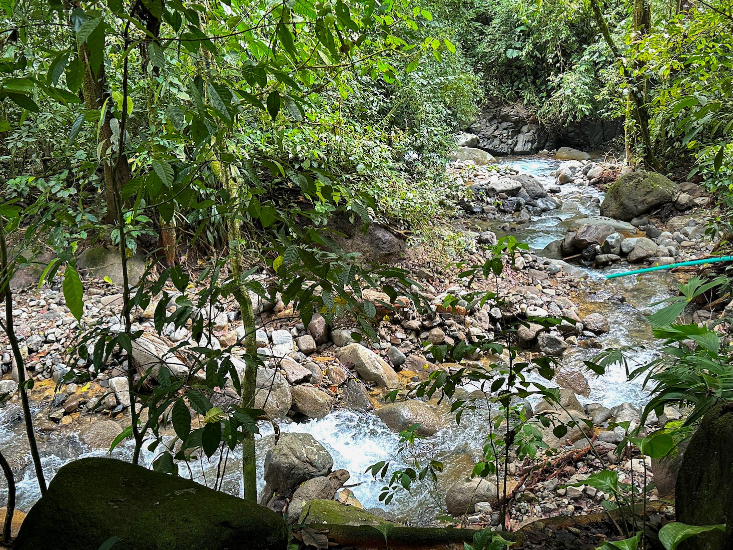 0 bed Land For Sale in Ojochal, Puntarenas - thumb 2