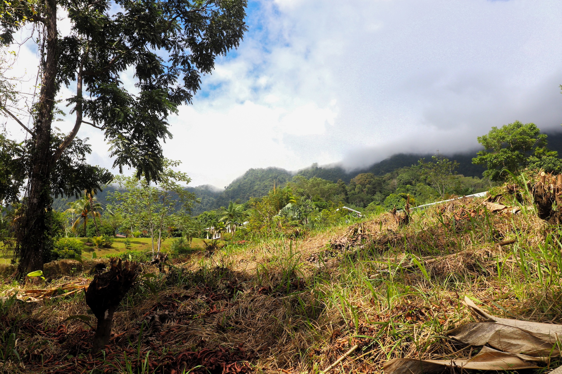 0 bed Land For Sale in Ojochal, Puntarenas - thumb 21