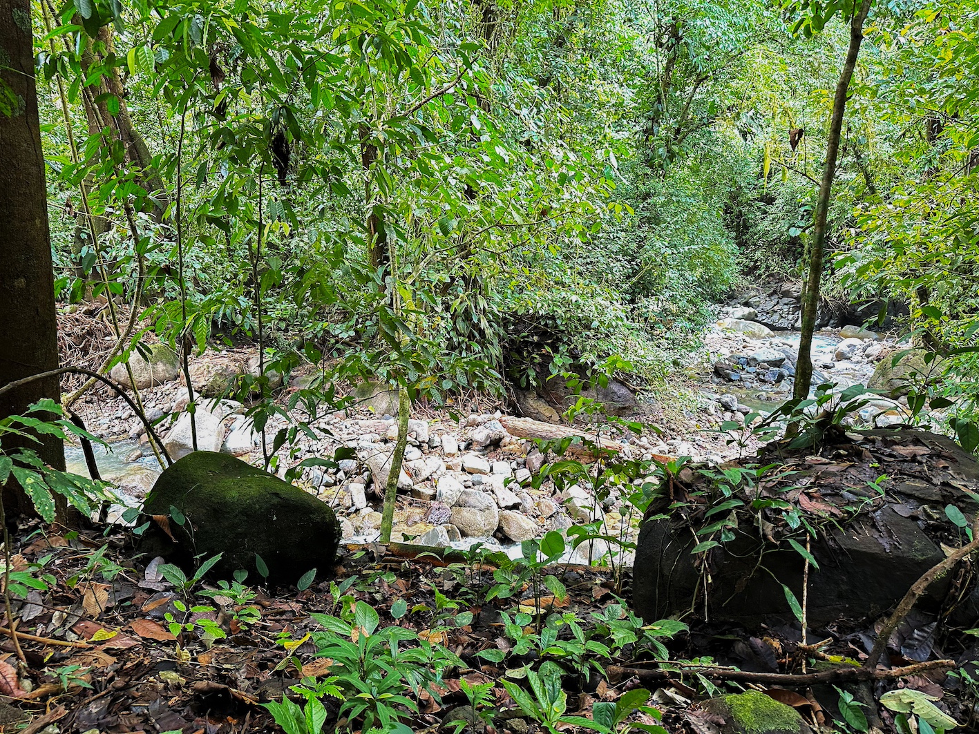 0 bed Land For Sale in Ojochal, Puntarenas - thumb 5