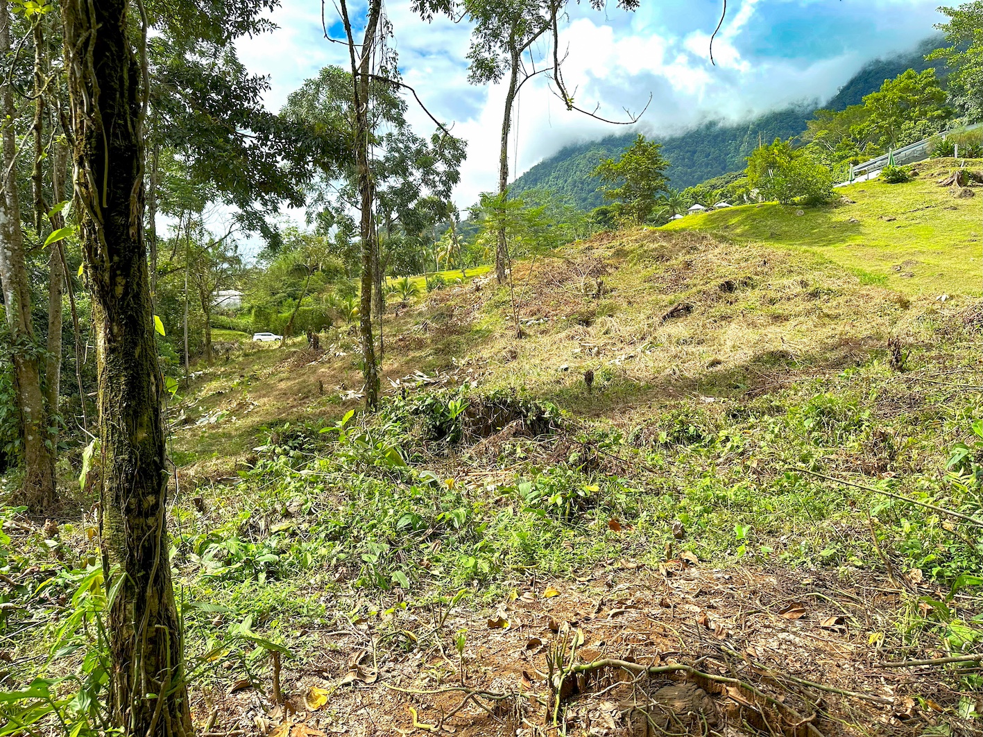 0 bed Land For Sale in Ojochal, Puntarenas - thumb 20