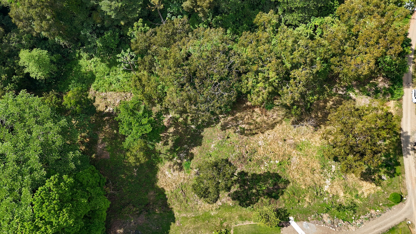 0 bed Land For Sale in Ojochal, Puntarenas - thumb 29