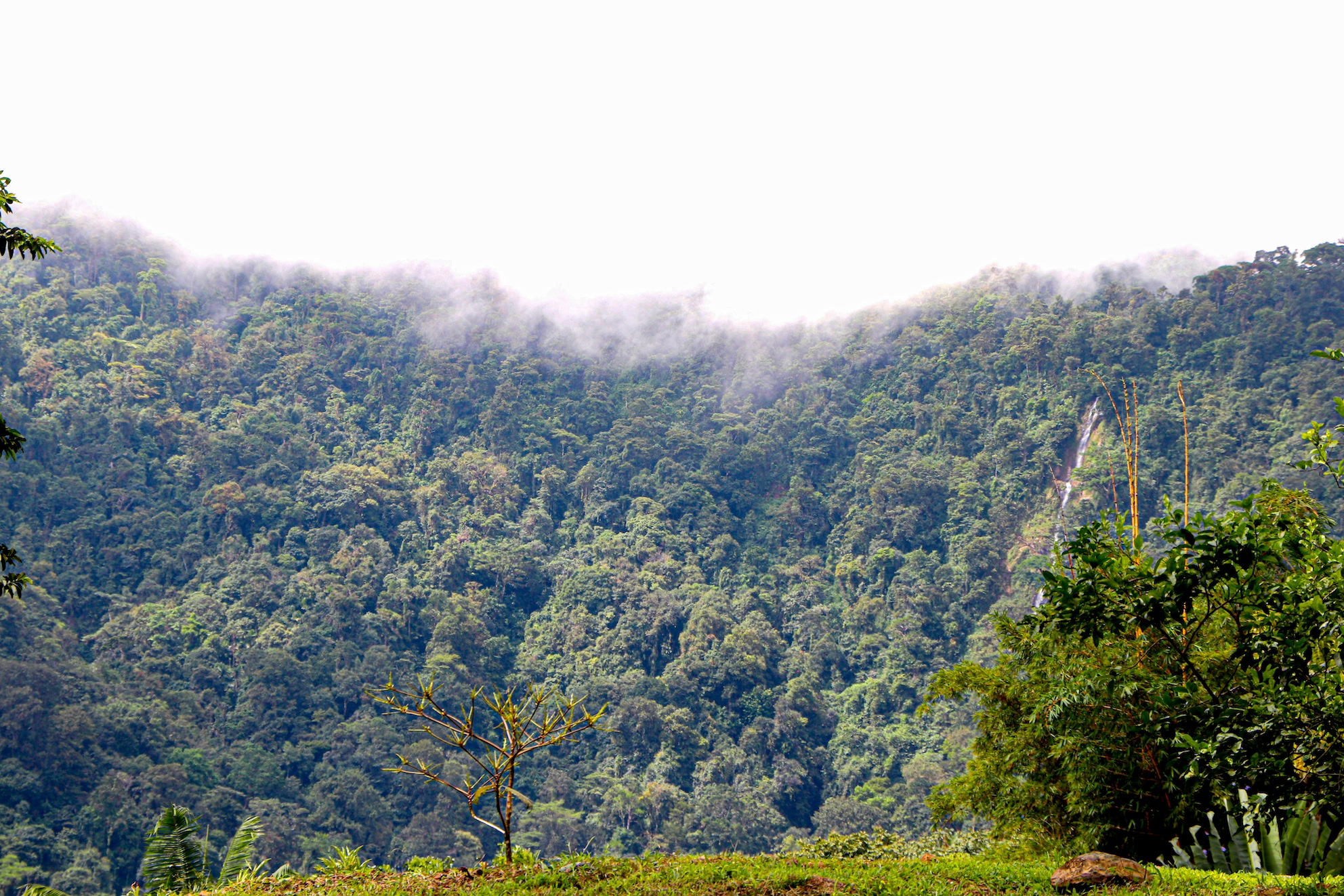 0 bed Land For Sale in Ojochal, Puntarenas - thumb 4