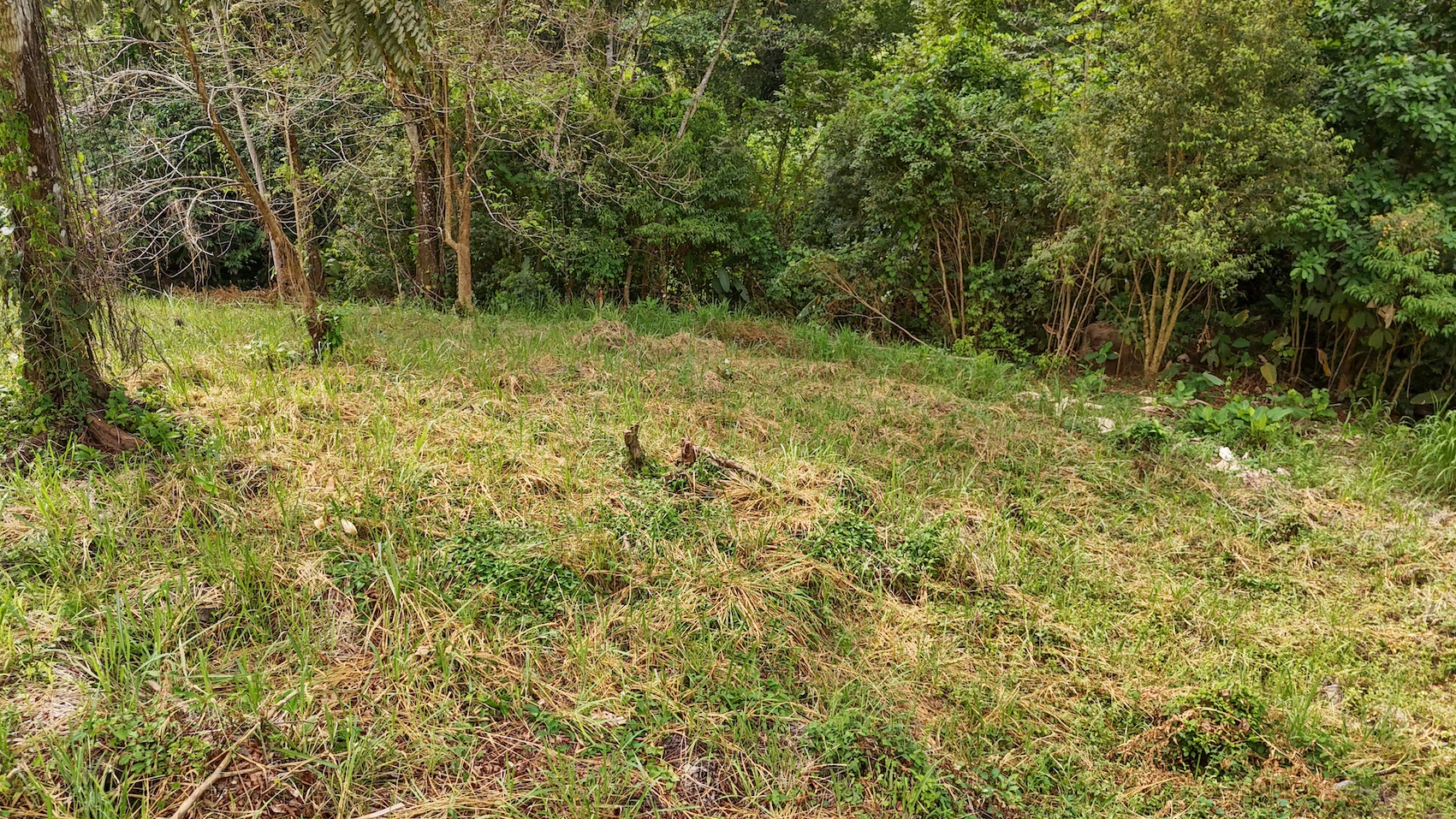 0 bed Land For Sale in Ojochal, Puntarenas - thumb 25