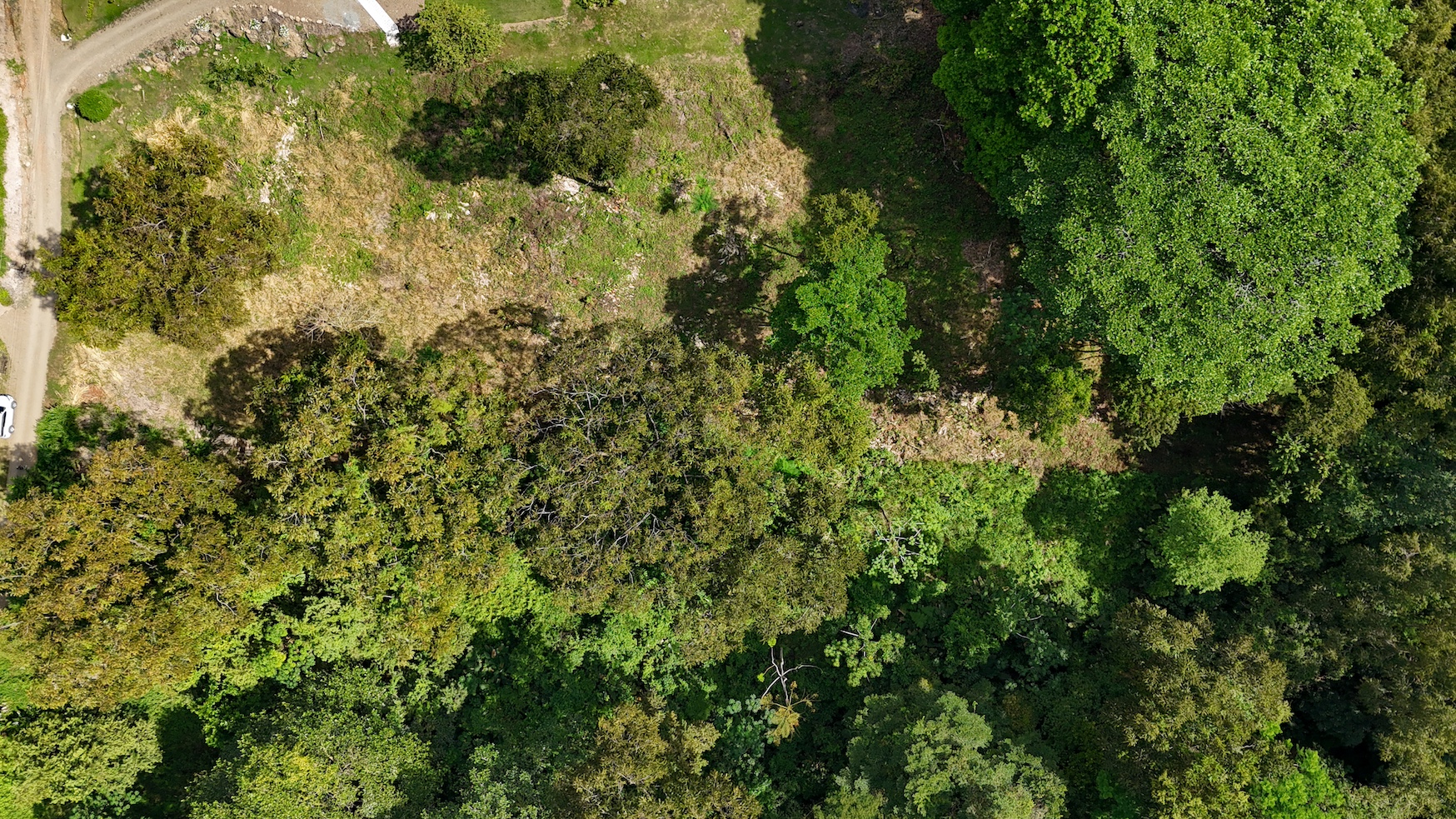 0 bed Land For Sale in Ojochal, Puntarenas - thumb 28