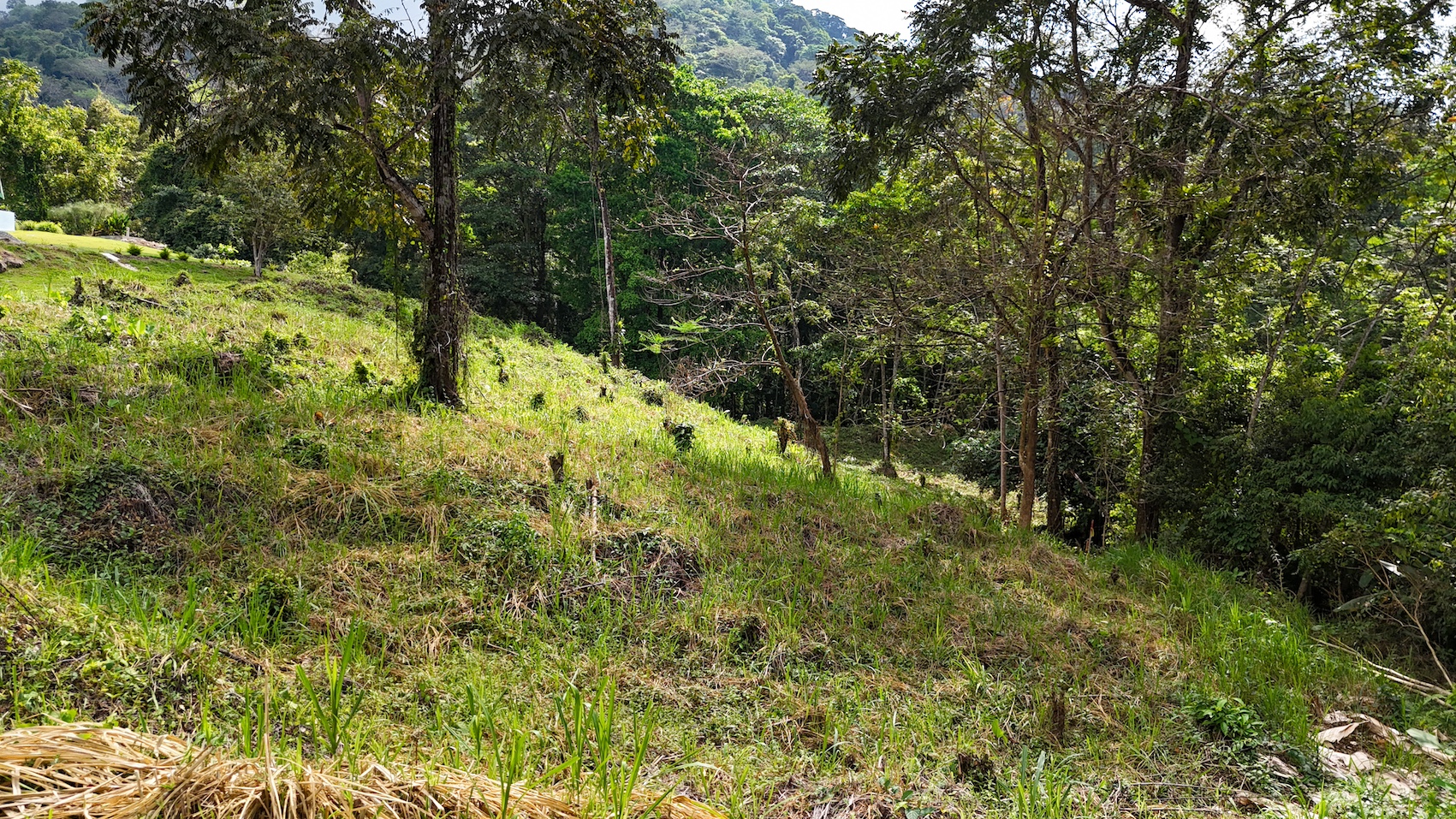 0 bed Land For Sale in Ojochal, Puntarenas - thumb 24