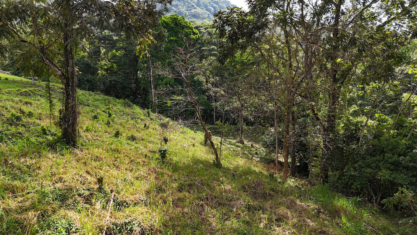 0 bed Land For Sale in Ojochal, Puntarenas - thumb 23