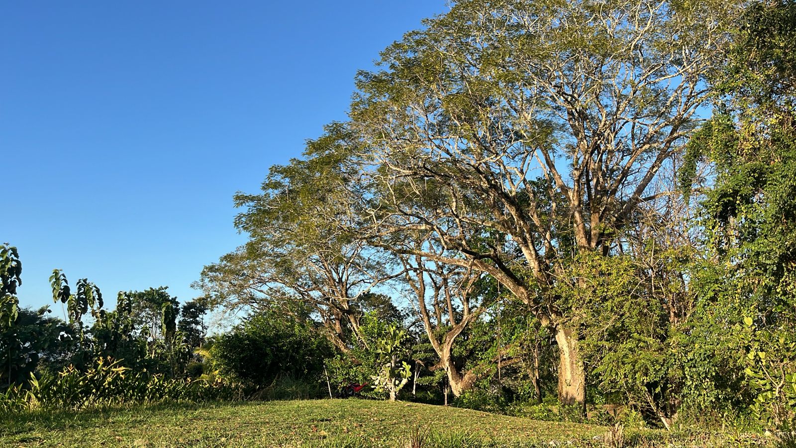 0 bed Land For Sale in Malpais, Puntarenas - thumb 2