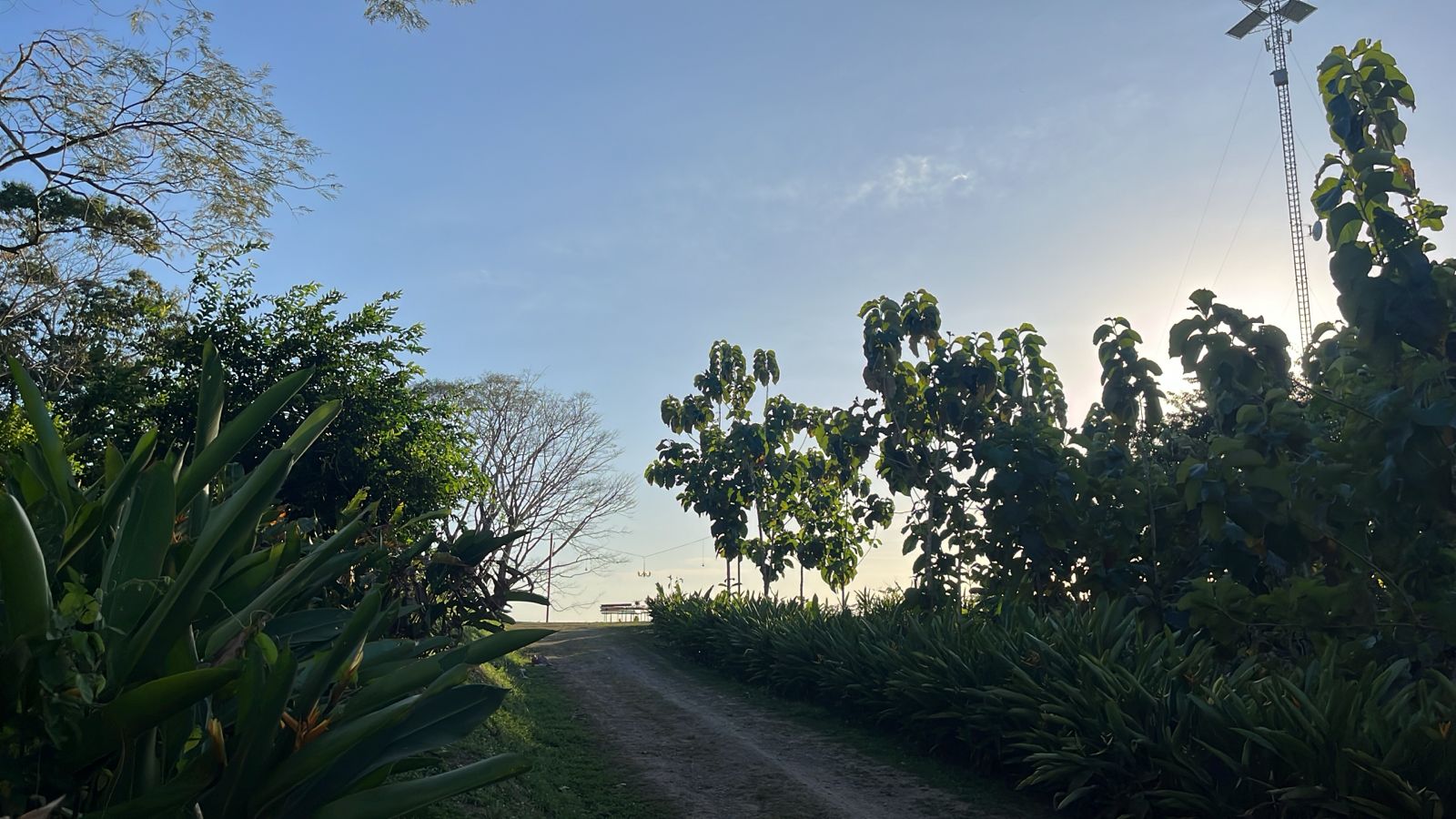 0 bed Land For Sale in Malpais, Puntarenas - thumb 7