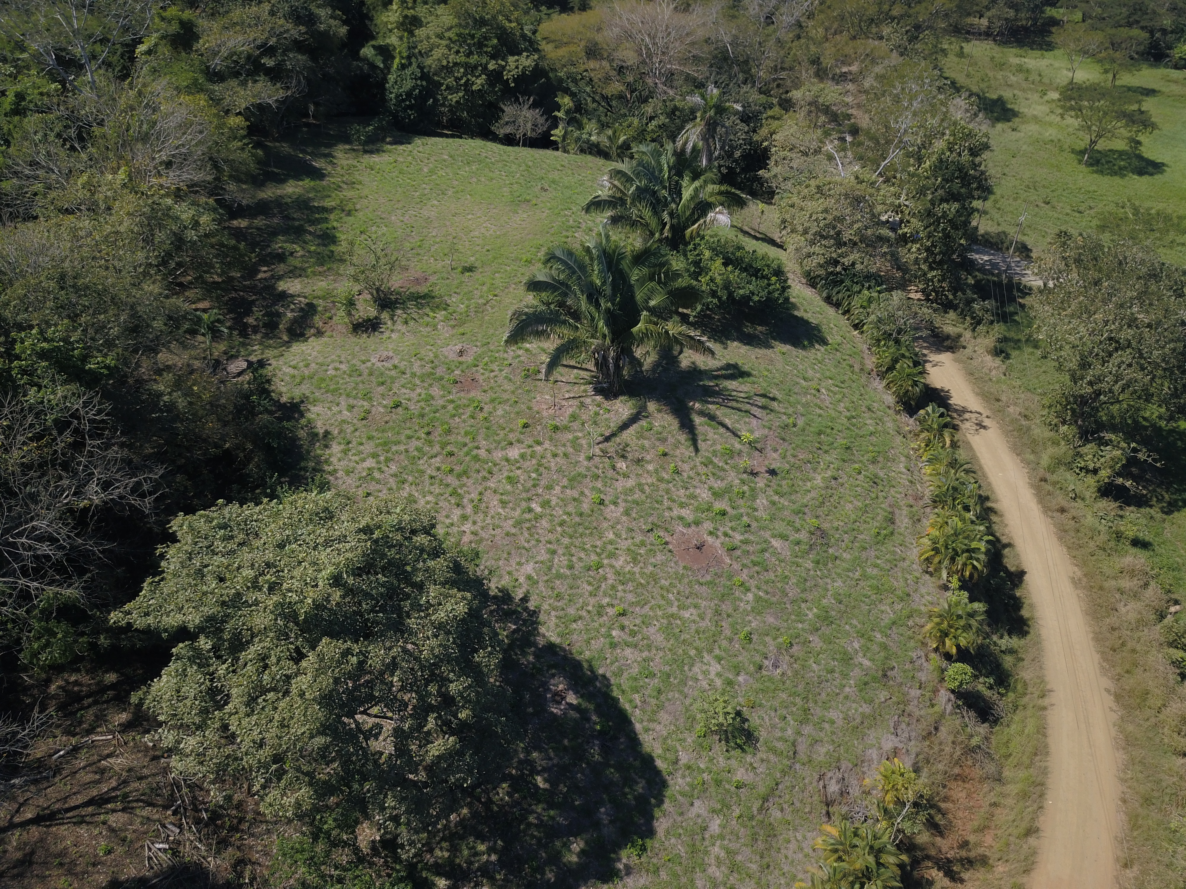 0 bed Land For Sale in PlayaCoyote, Guanacaste - thumb 12