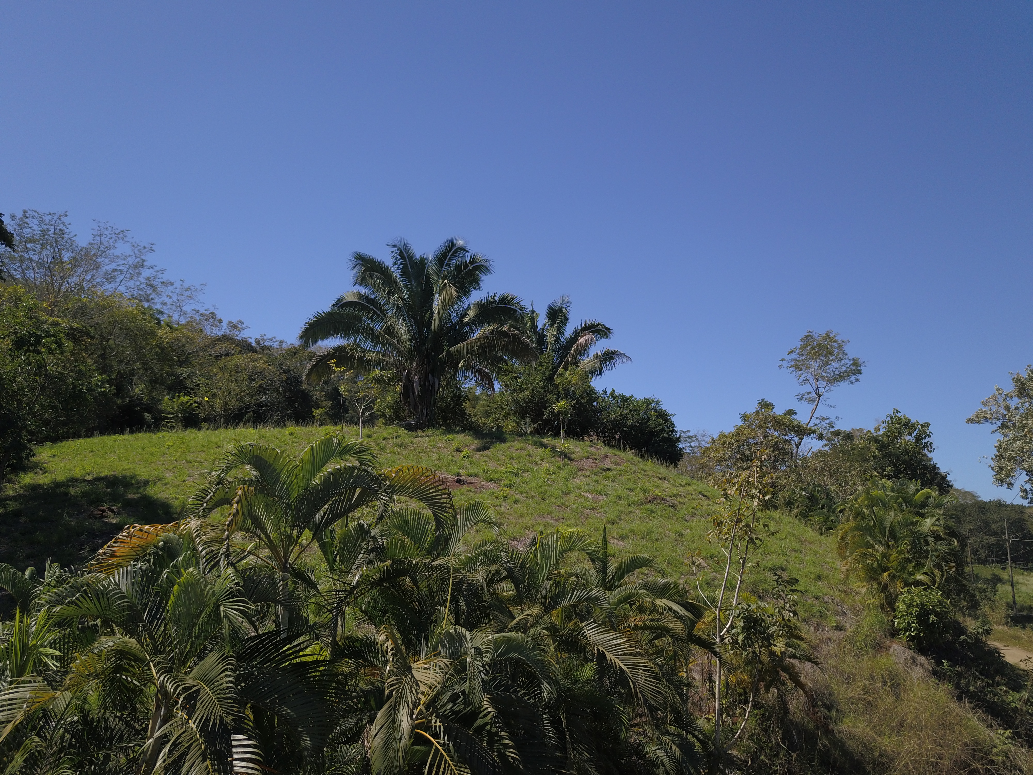 0 bed Land For Sale in PlayaCoyote, Guanacaste - thumb 16