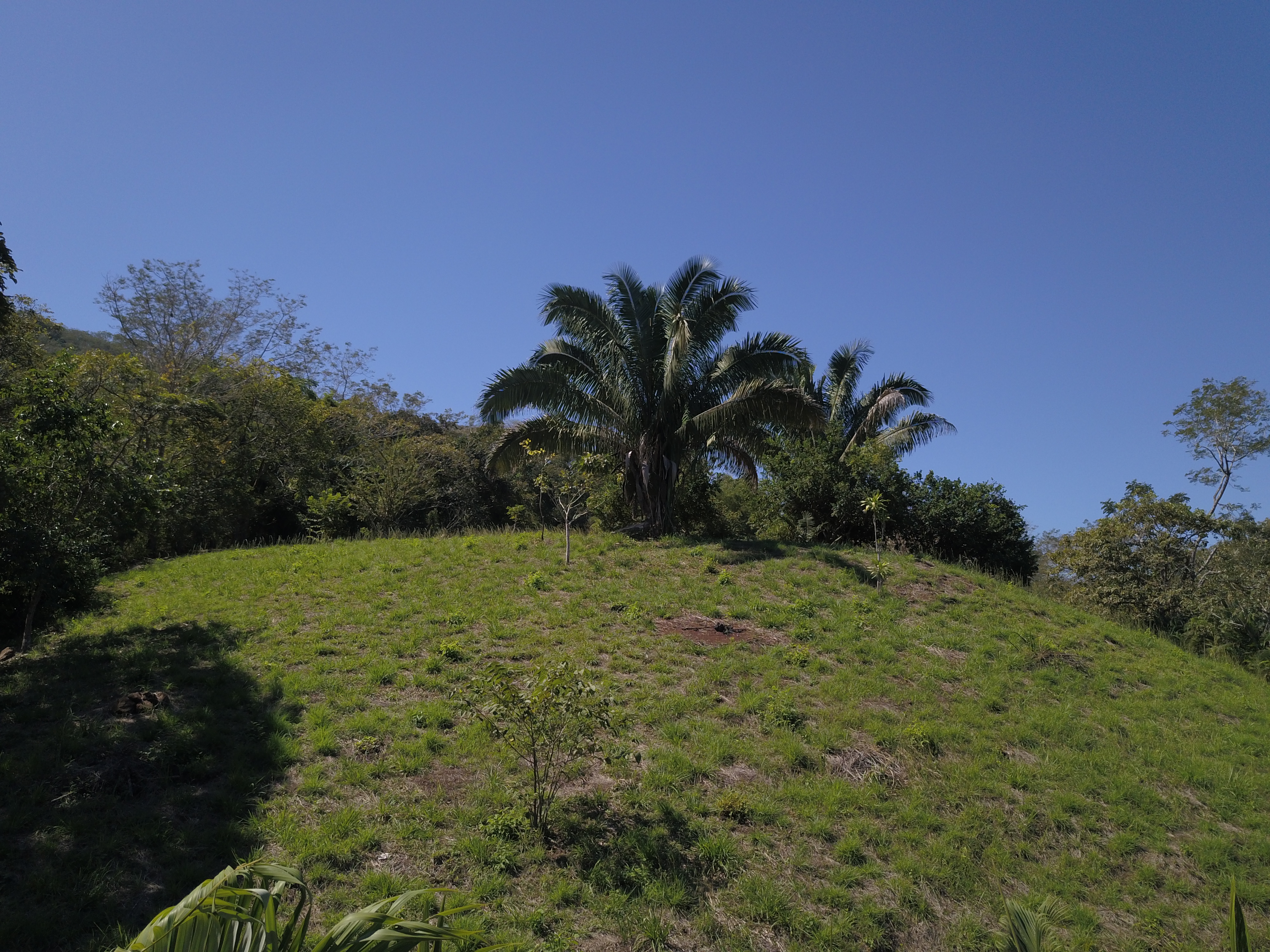 0 bed Land For Sale in PlayaCoyote, Guanacaste - thumb 17