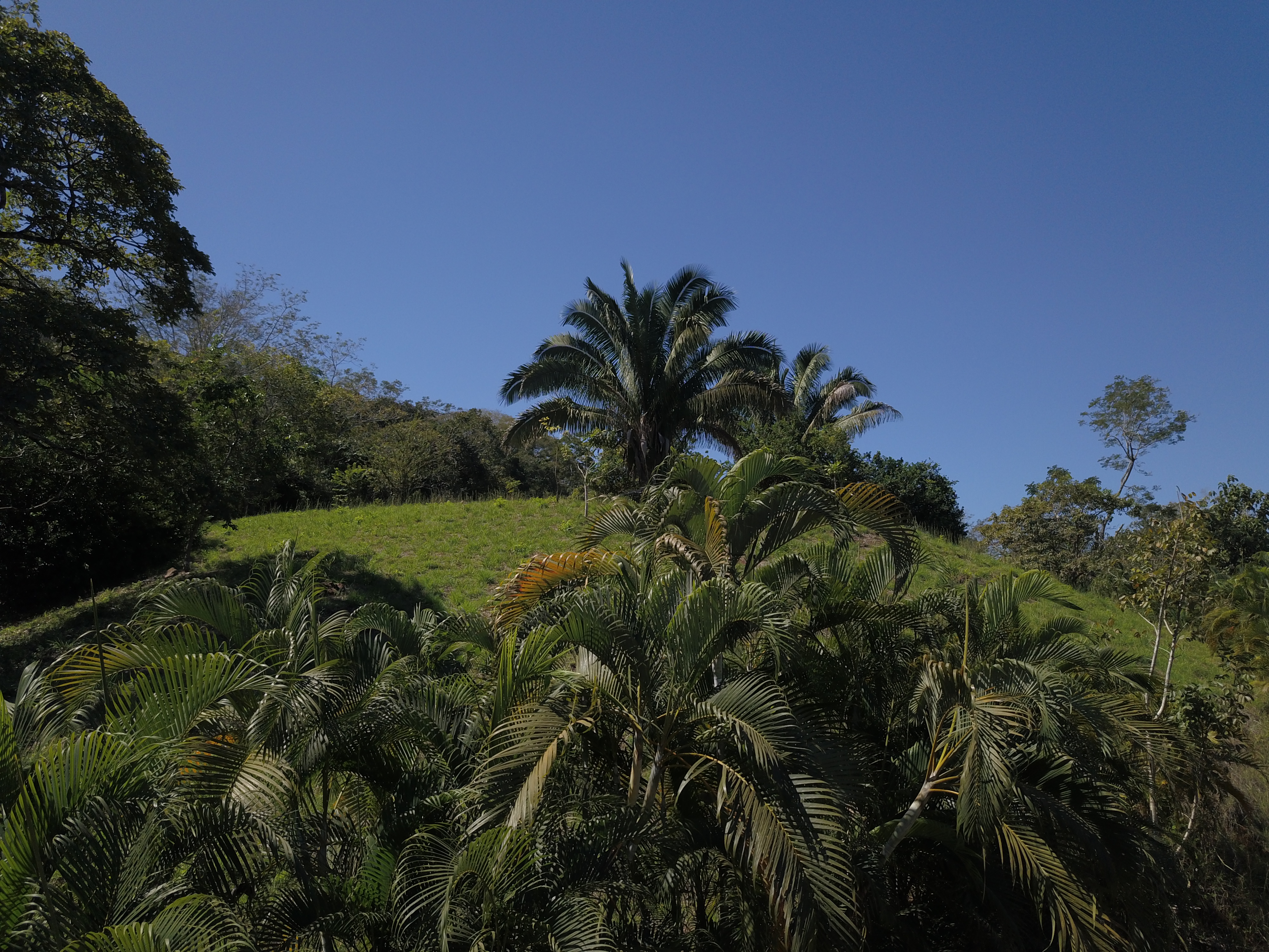 0 bed Land For Sale in PlayaCoyote, Guanacaste - thumb 15