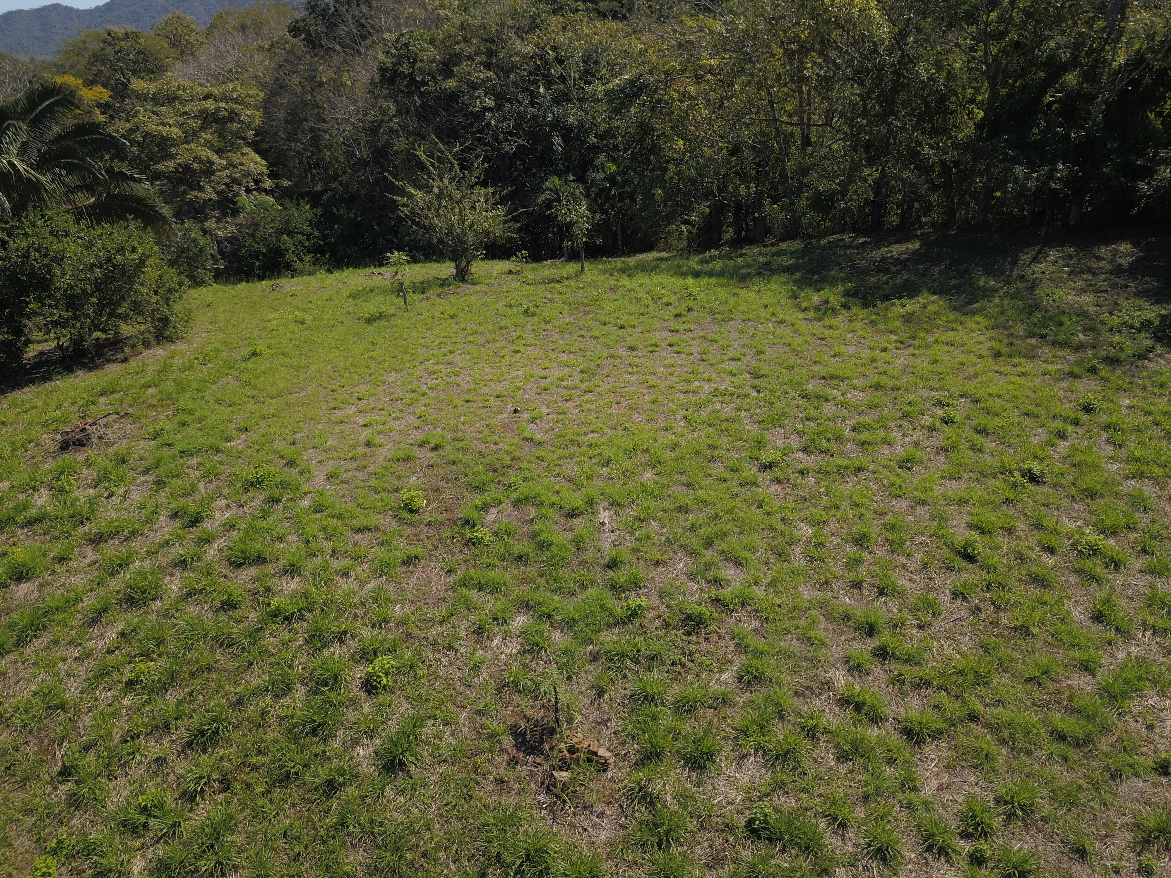 0 bed Land For Sale in PlayaCoyote, Guanacaste - thumb 9