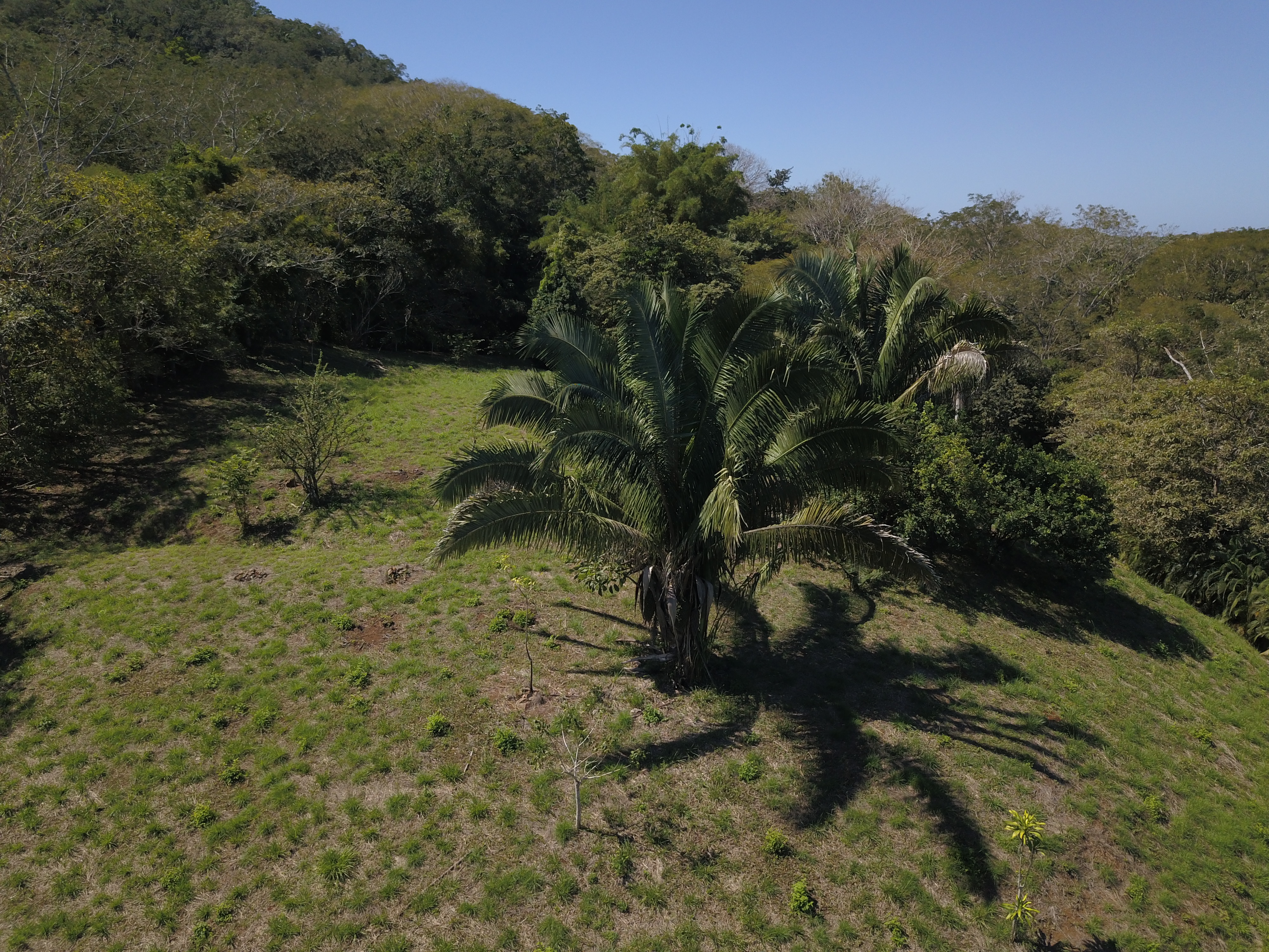 0 bed Land For Sale in PlayaCoyote, Guanacaste - thumb 13