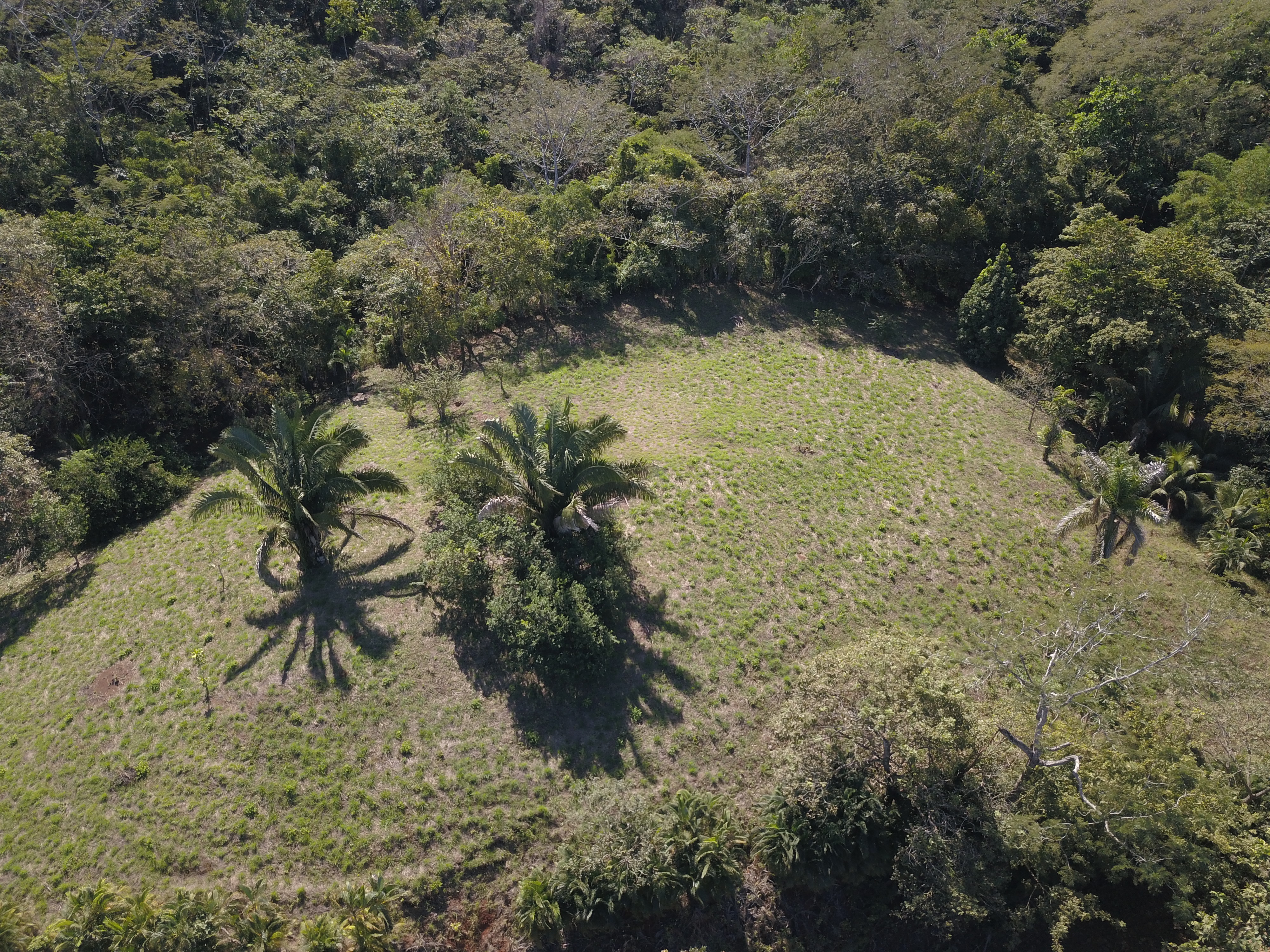 0 bed Land For Sale in PlayaCoyote, Guanacaste - thumb 8