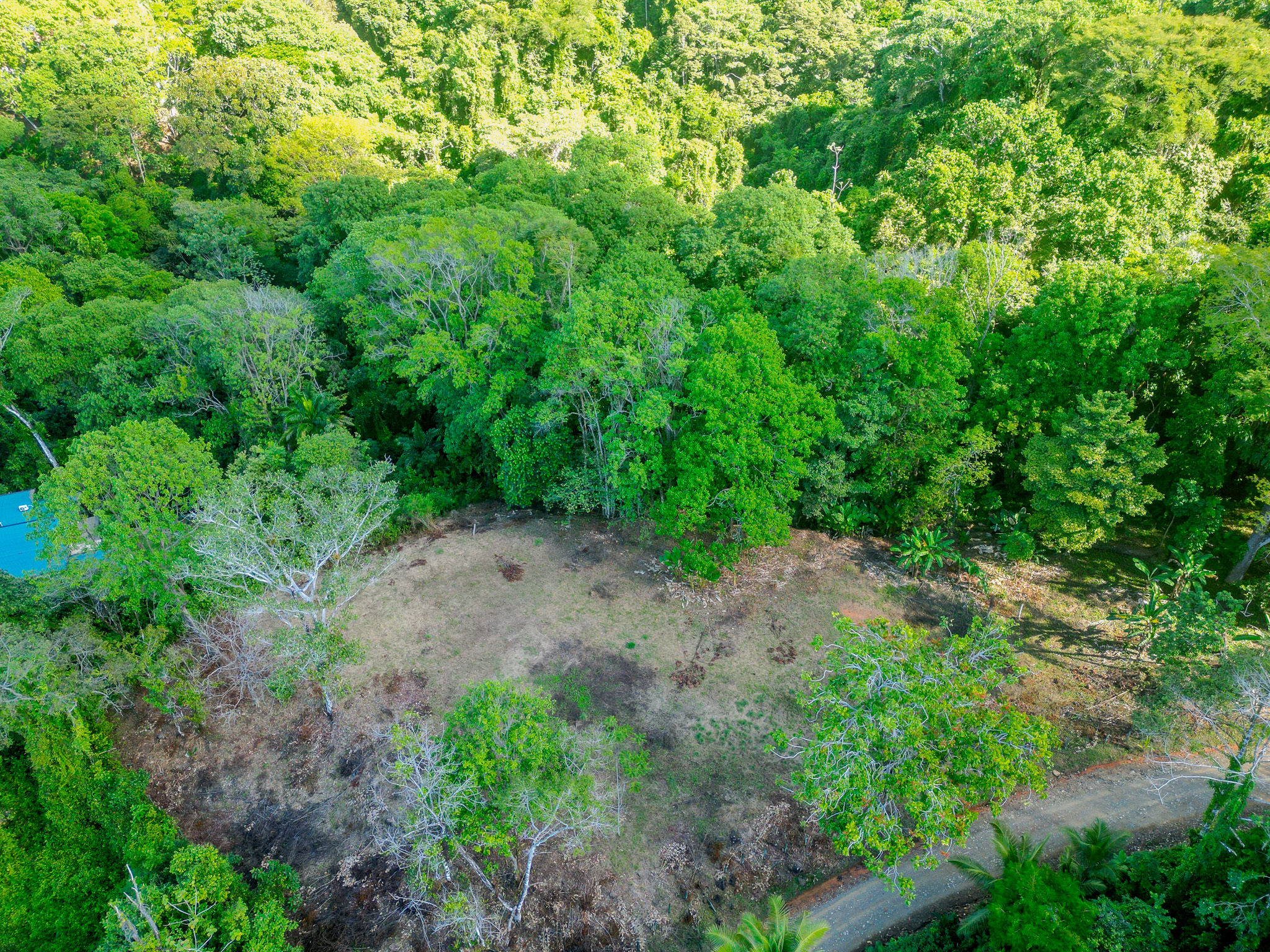 0 bed Land For Sale in Dominical, Puntarenas - thumb 19