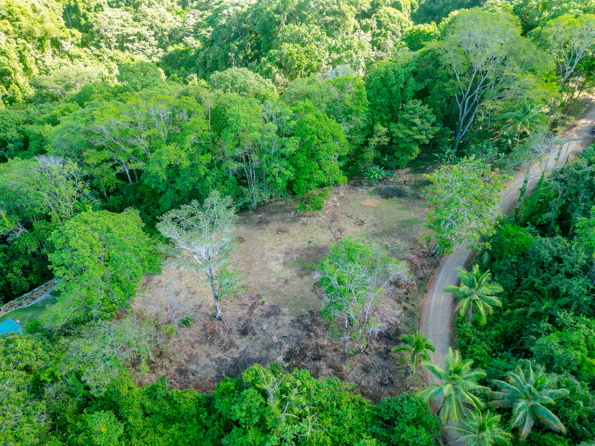 0 bed Land For Sale in Dominical, Puntarenas - thumb 11