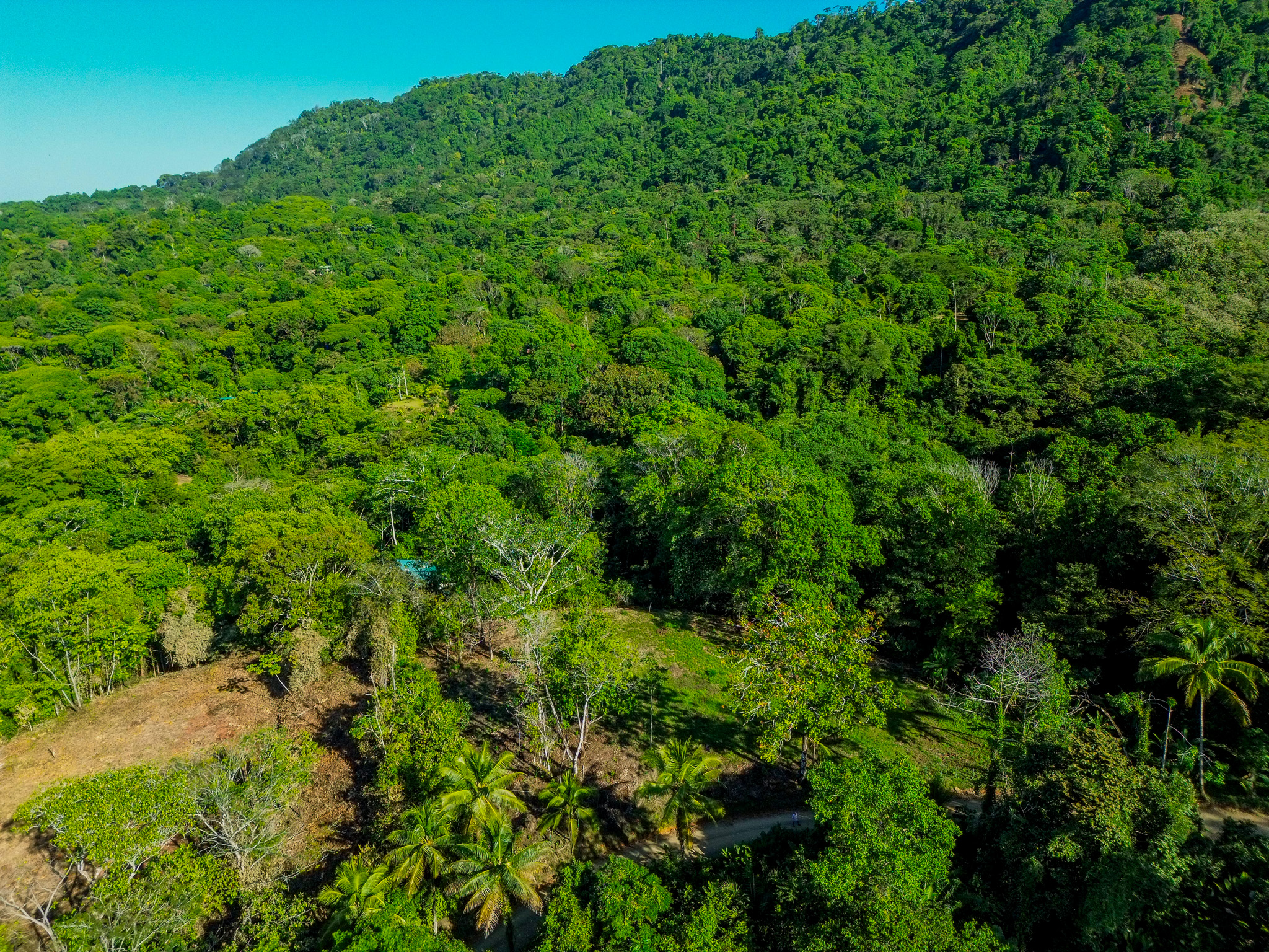 0 bed Land For Sale in Dominical, Puntarenas - thumb 8