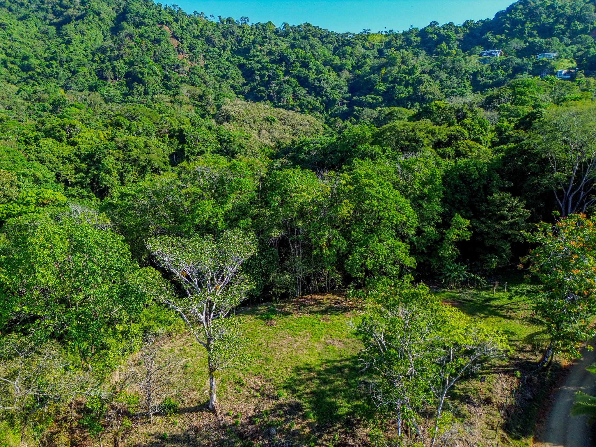 0 bed Land For Sale in Dominical, Puntarenas - thumb 18