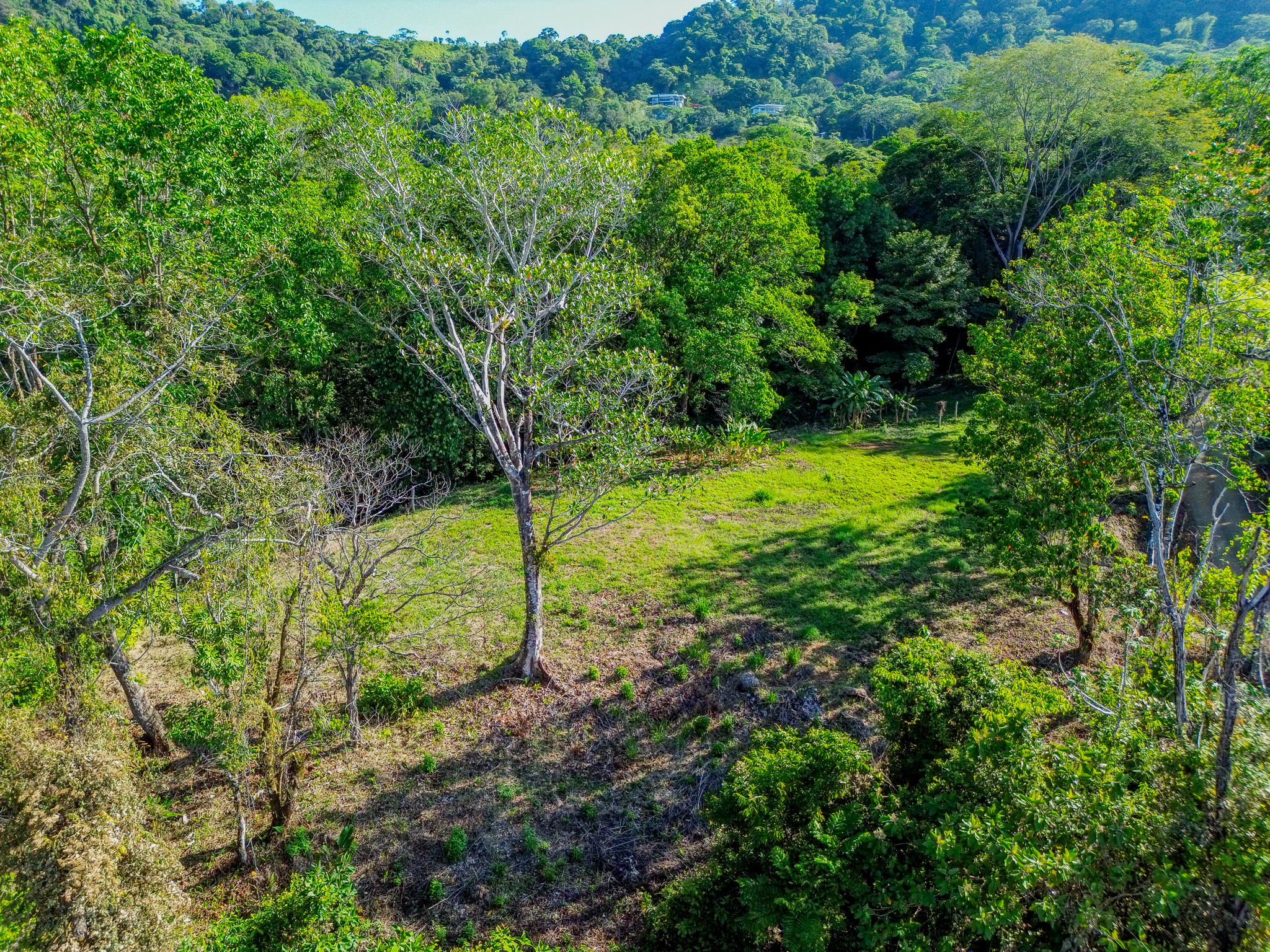 0 bed Land For Sale in Dominical, Puntarenas - thumb 3