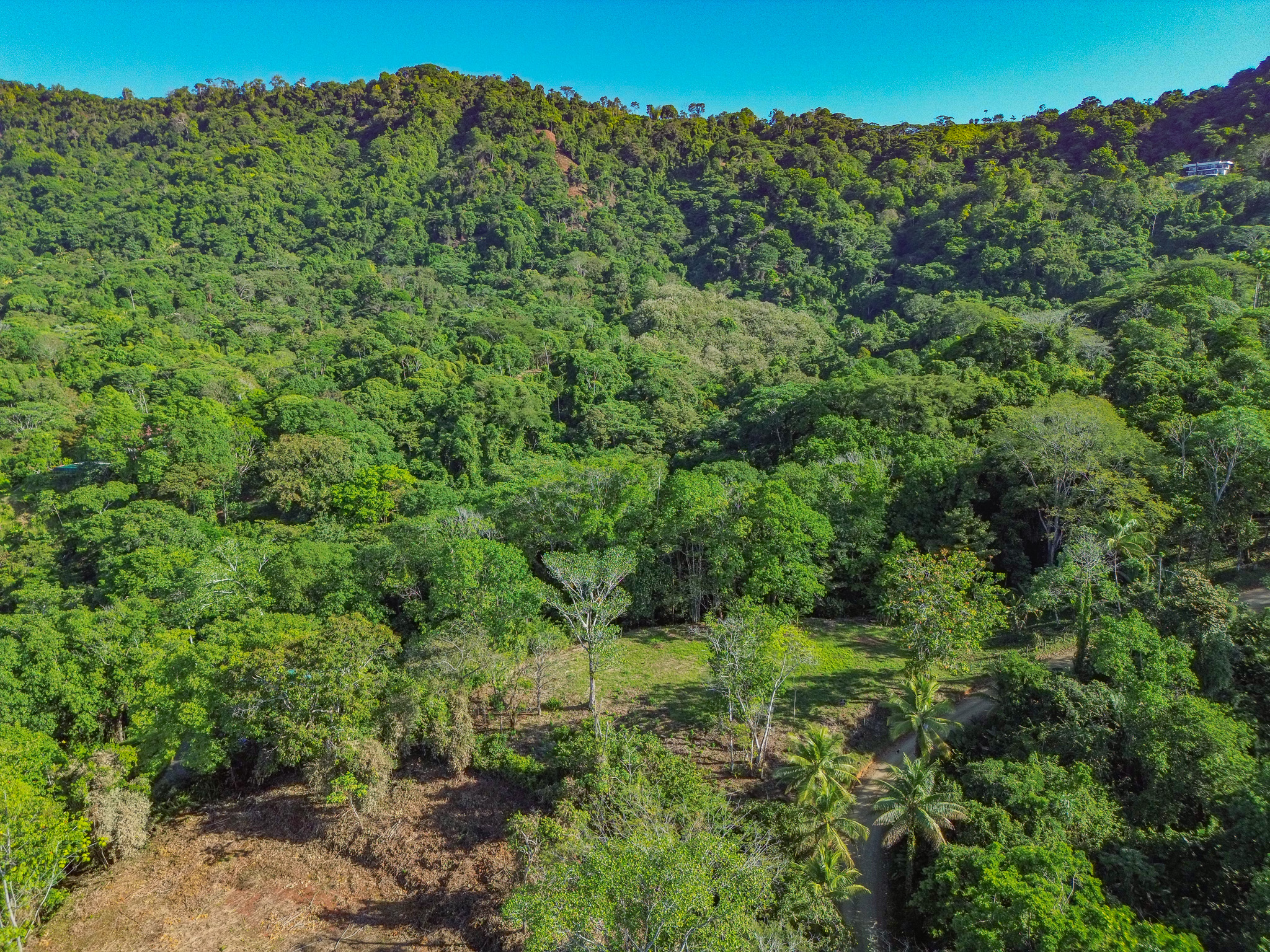 0 bed Land For Sale in Dominical, Puntarenas - thumb 4