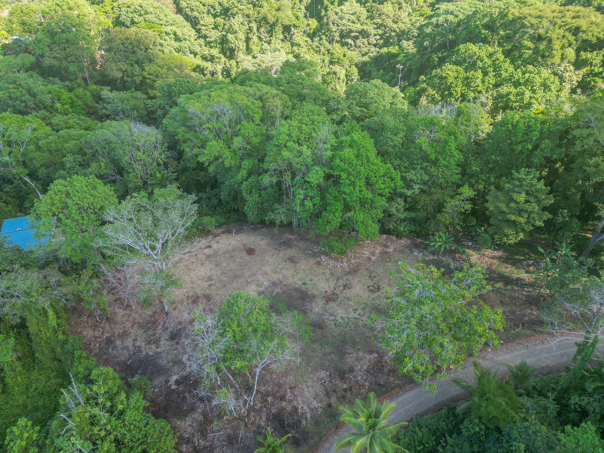 0 bed Land For Sale in Dominical, Puntarenas - thumb 14