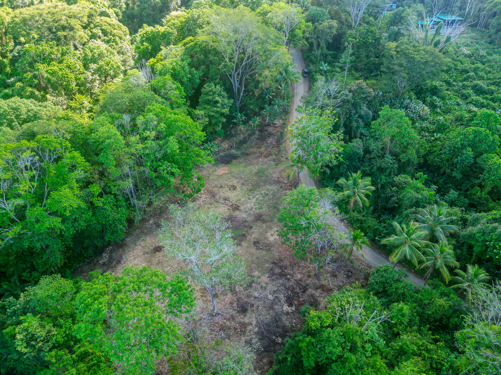 0 bed Land For Sale in Dominical, Puntarenas - thumb 21