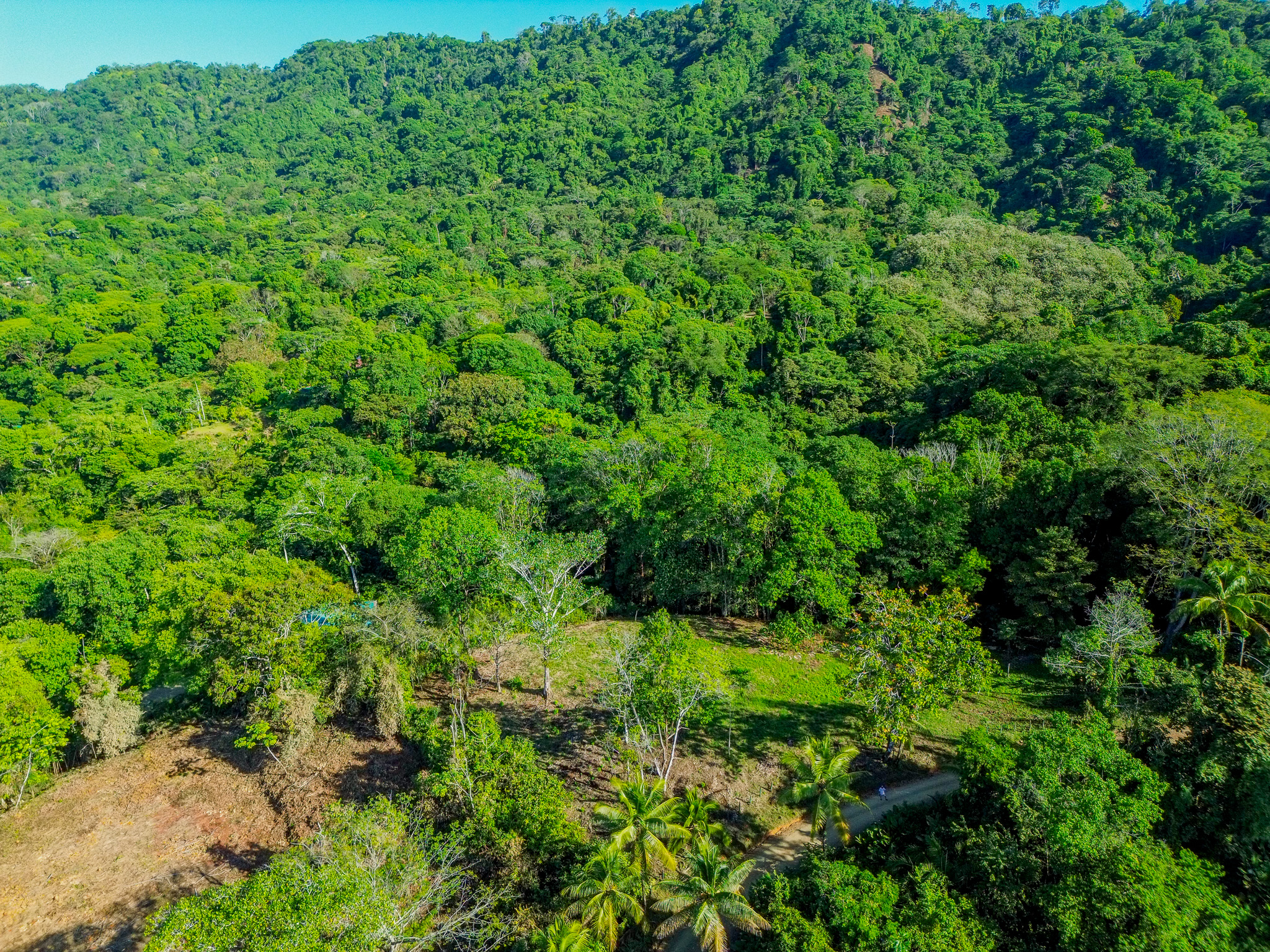 0 bed Land For Sale in Dominical, Puntarenas - thumb 6