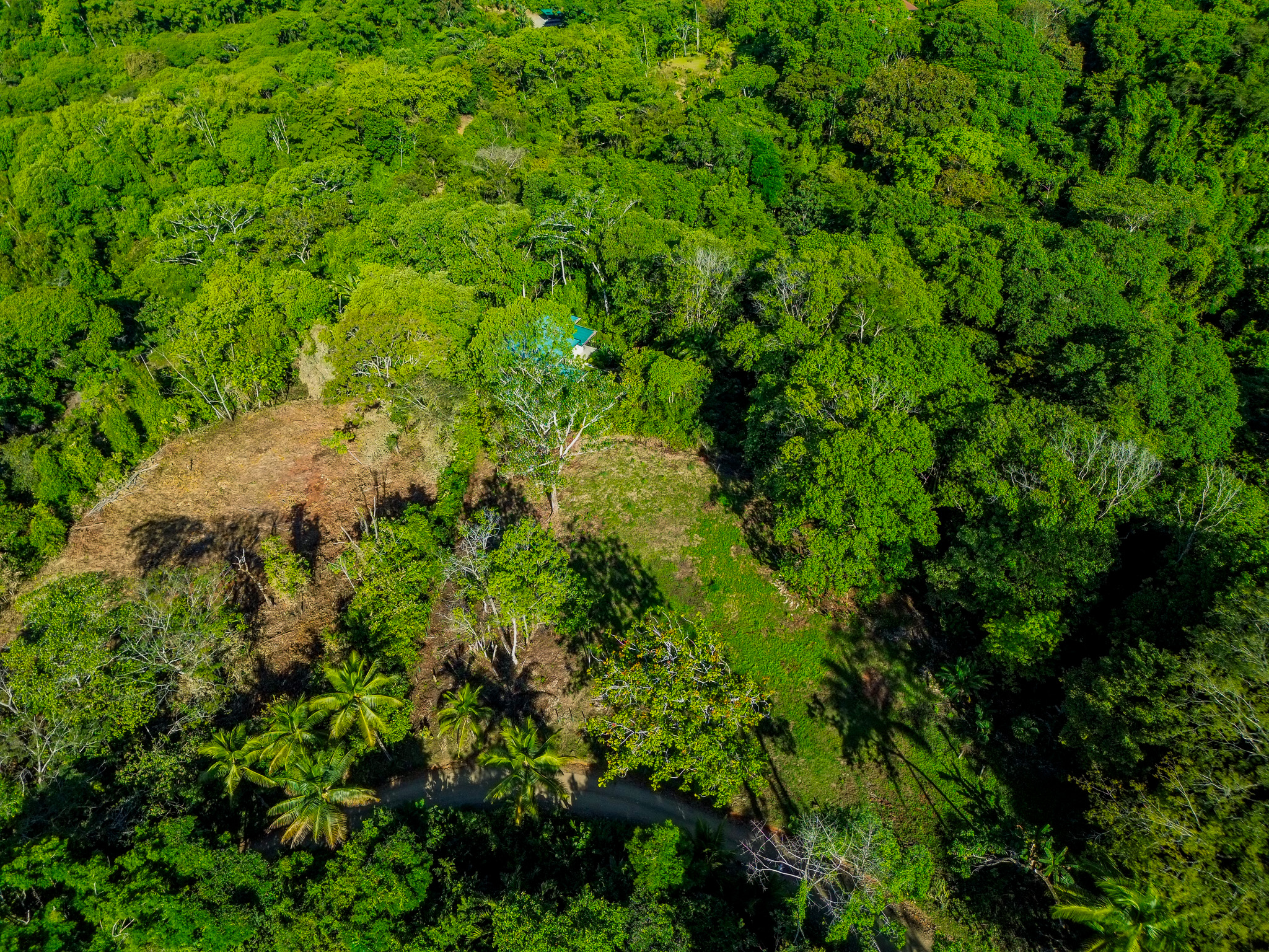 0 bed Land For Sale in Dominical, Puntarenas - thumb 9