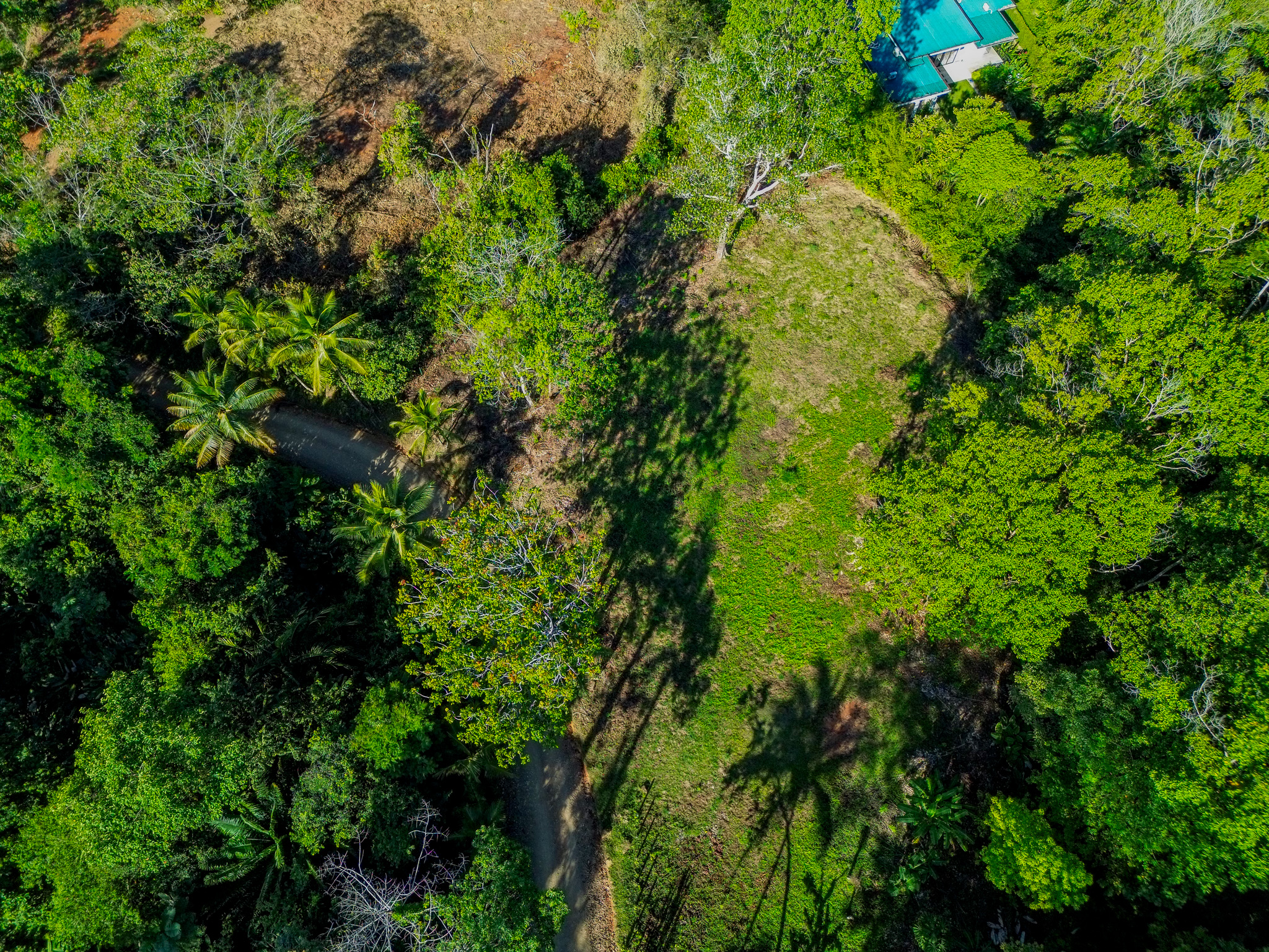 0 bed Land For Sale in Dominical, Puntarenas - thumb 12