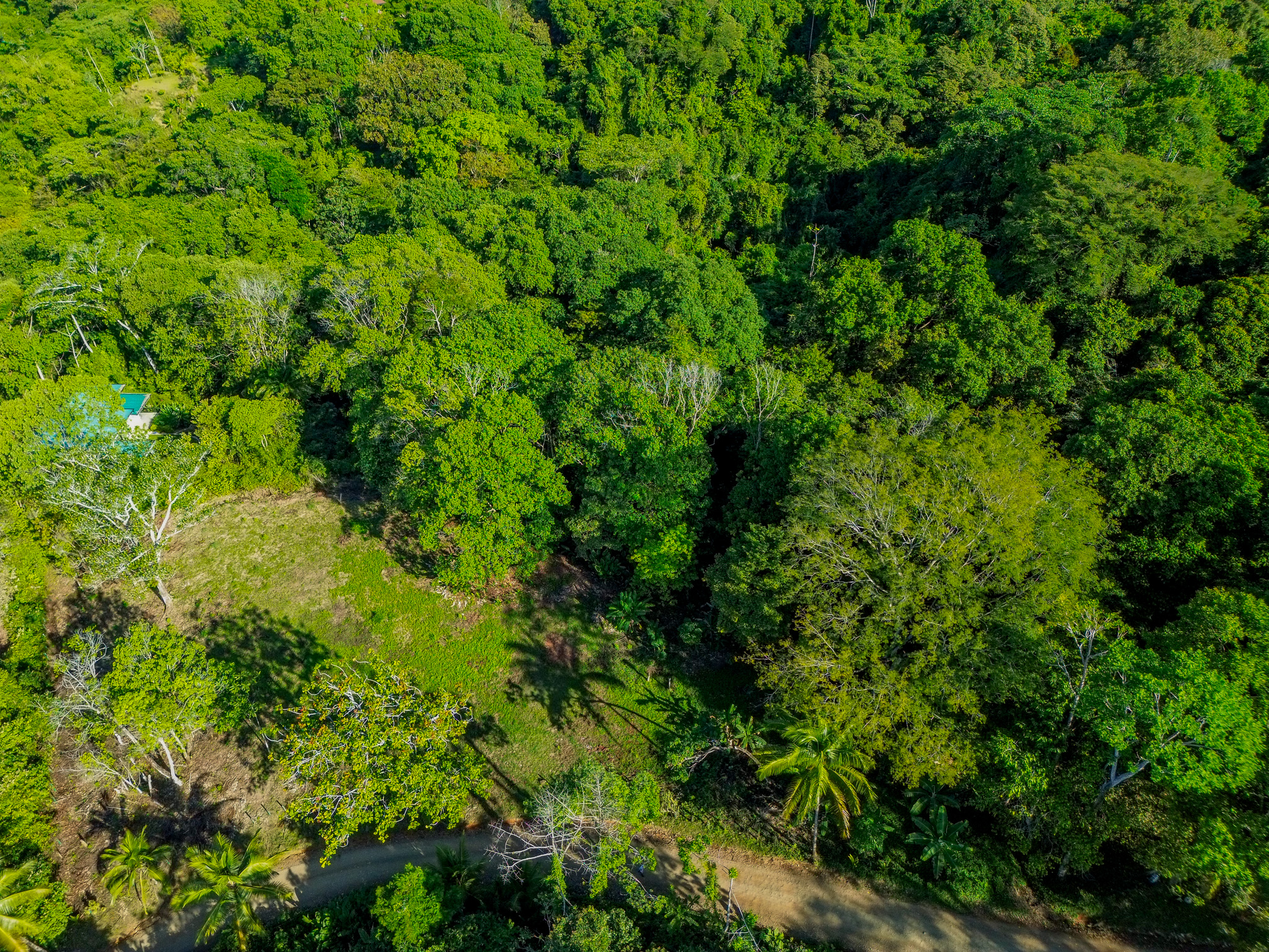 0 bed Land For Sale in Dominical, Puntarenas - thumb 13