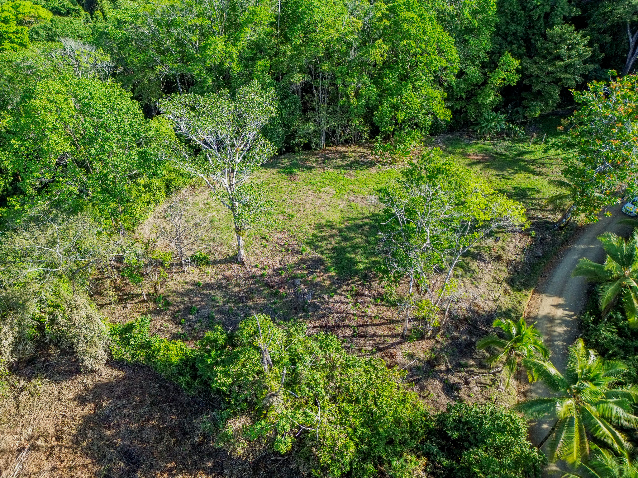 0 bed Land For Sale in Dominical, Puntarenas - thumb 17