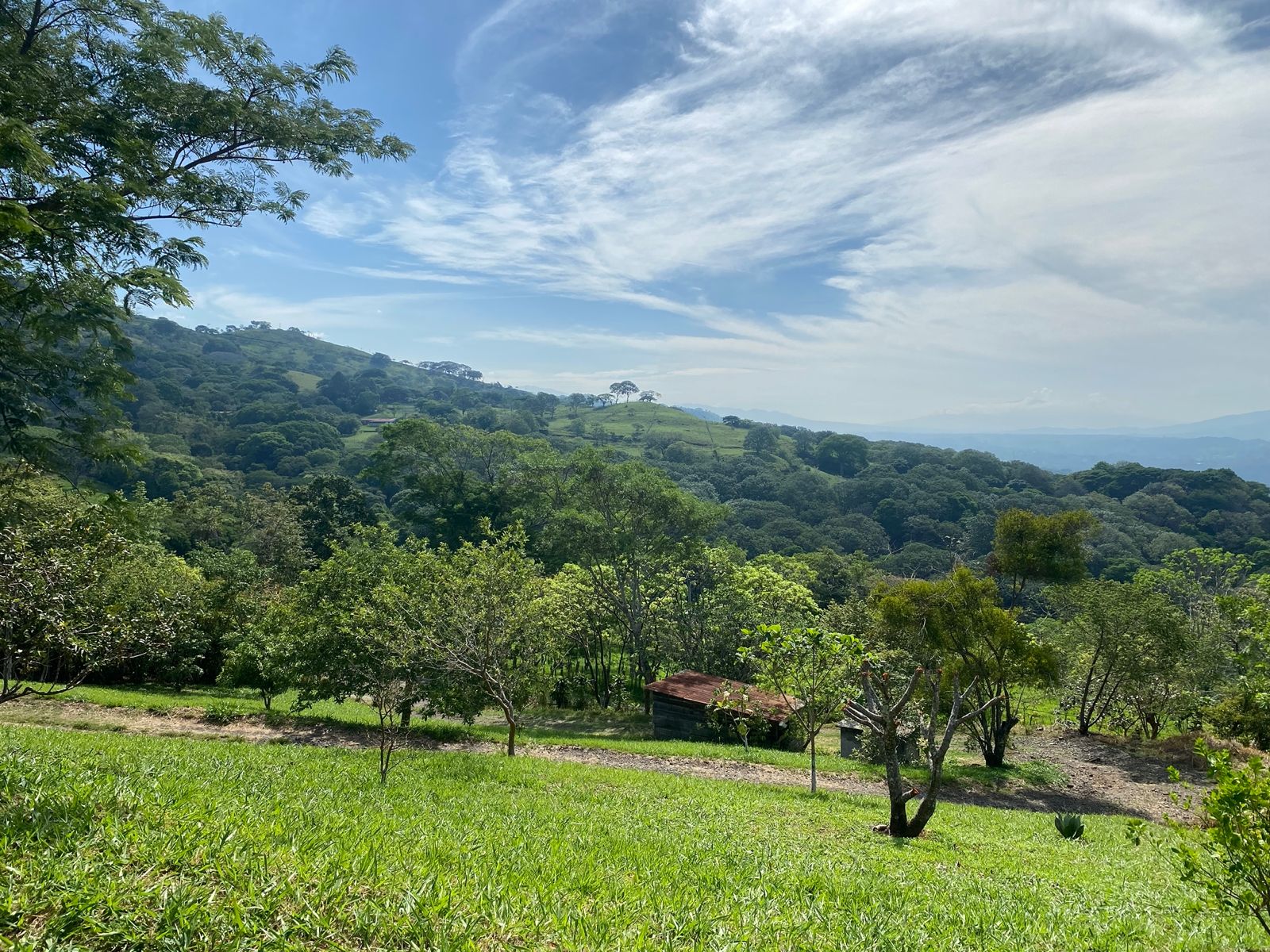 0 bed Land For Sale in Atenas, Alajuela - thumb 15