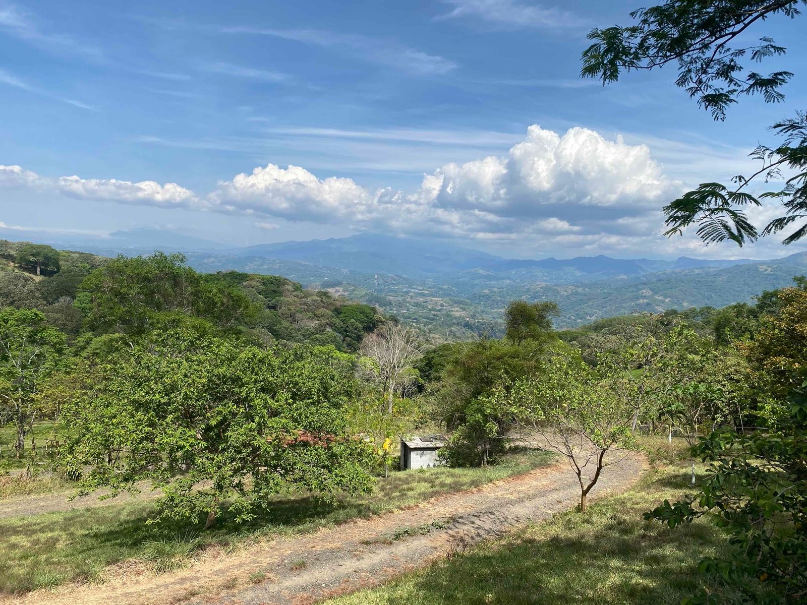 0 bed Land For Sale in Atenas, Alajuela - thumb 6