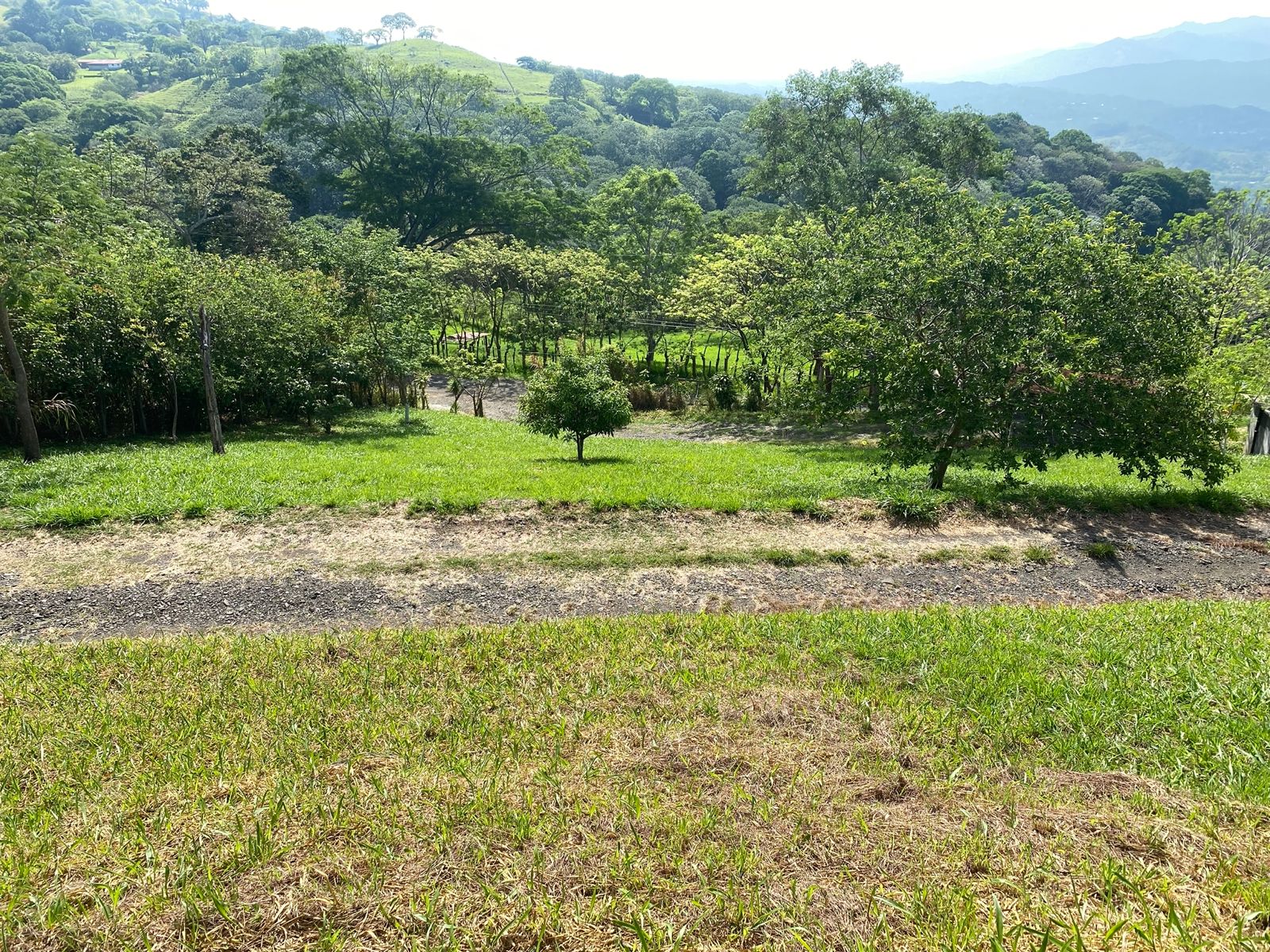 0 bed Land For Sale in Atenas, Alajuela - thumb 11