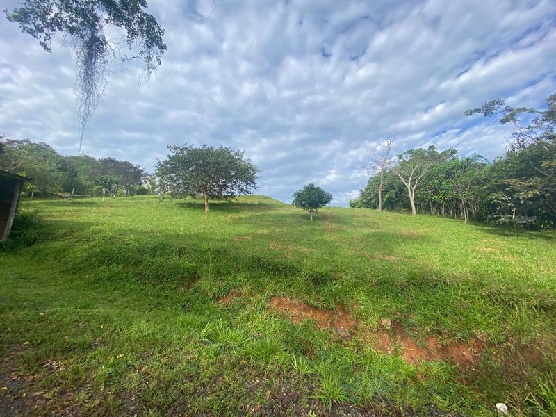 0 bed Land For Sale in Atenas, Alajuela - 1