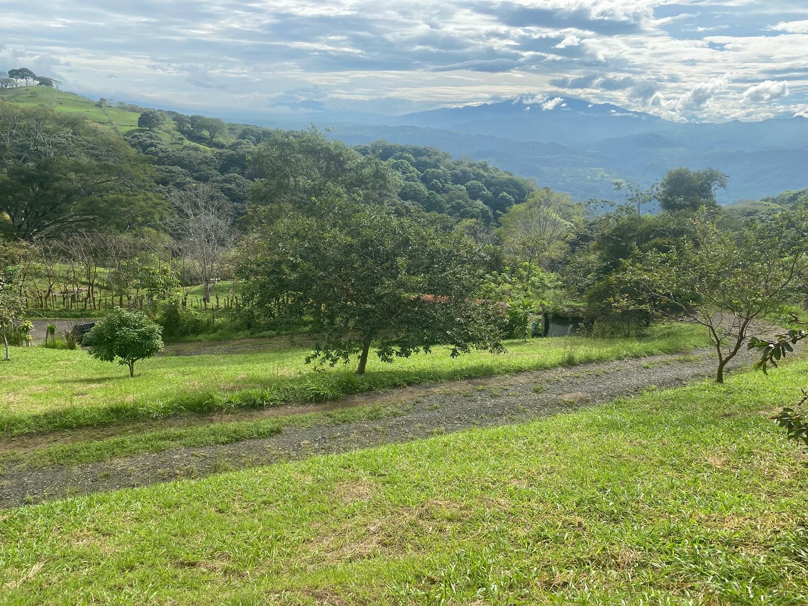 0 bed Land For Sale in Atenas, Alajuela - thumb 20