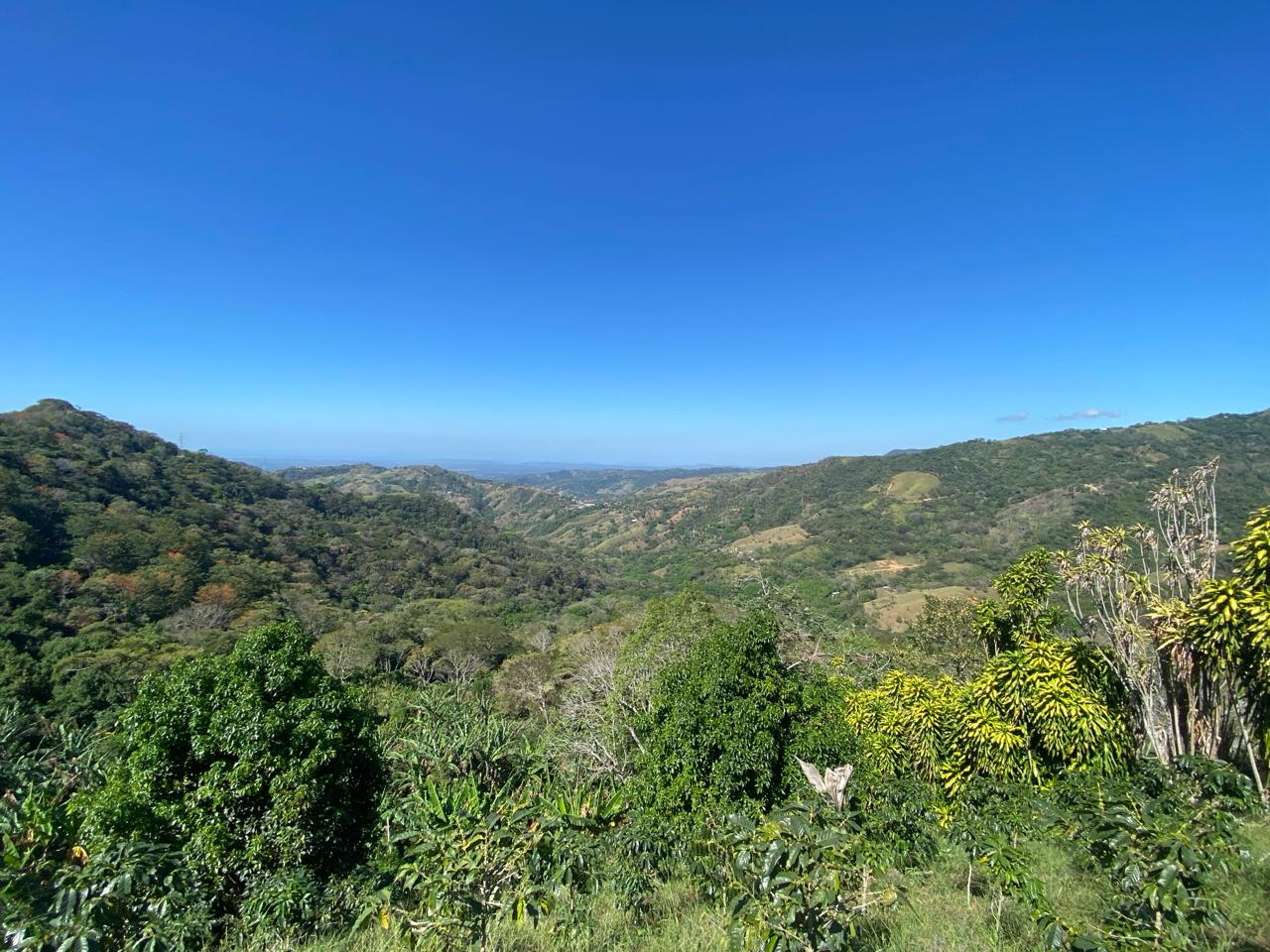 0 bed Land For Sale in Atenas, Alajuela - thumb 23