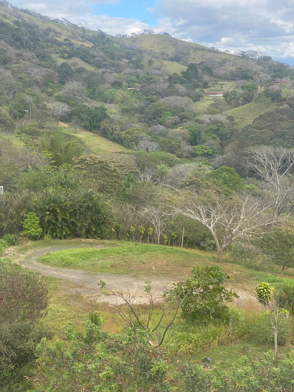 0 bed Land For Sale in Atenas, Alajuela - thumb 21