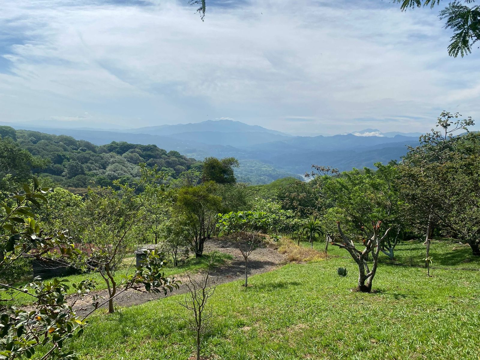 0 bed Land For Sale in Atenas, Alajuela - thumb 9