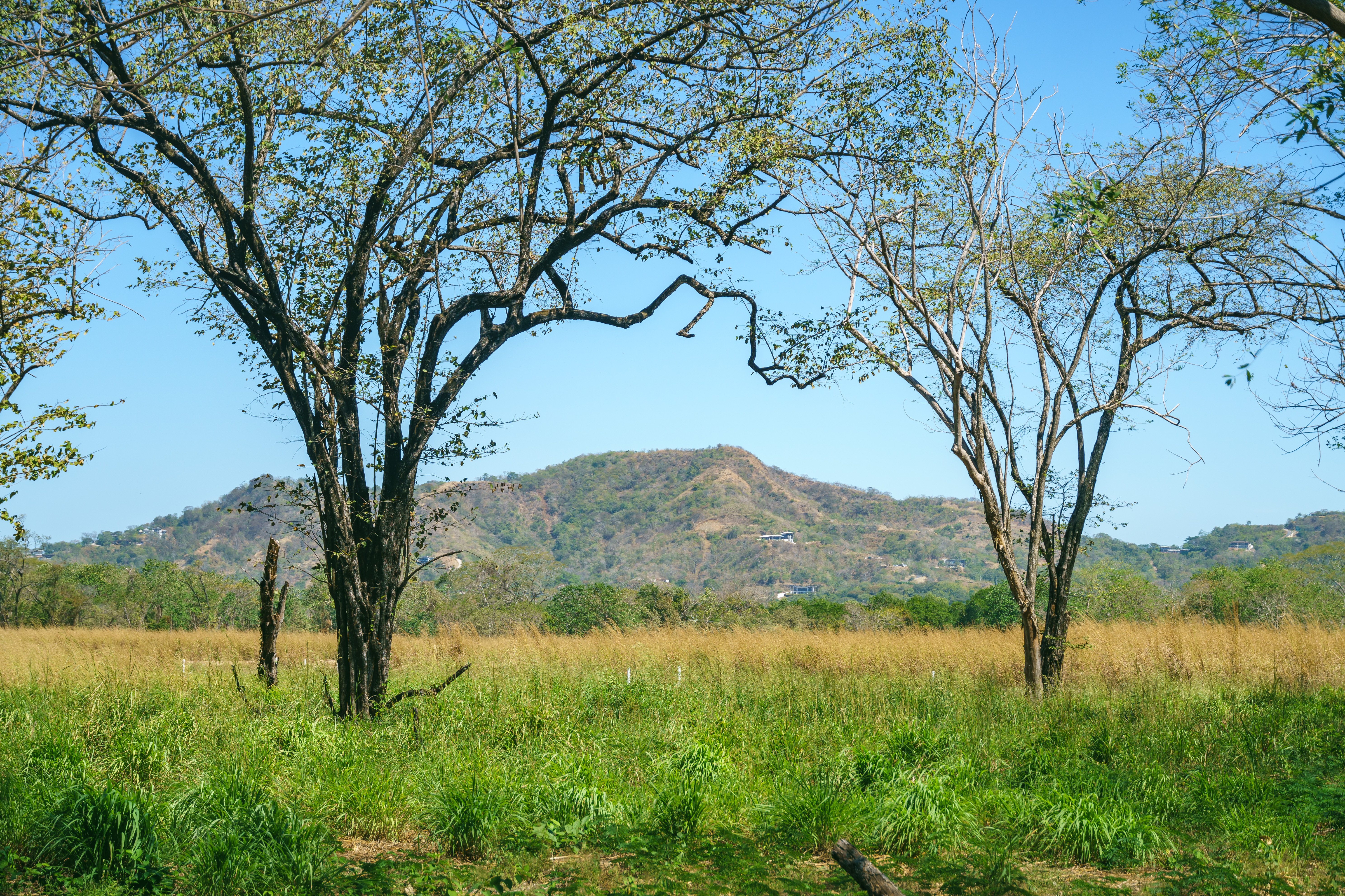 0 bed Land For Sale in Playa Grande, Guanacaste - thumb 25