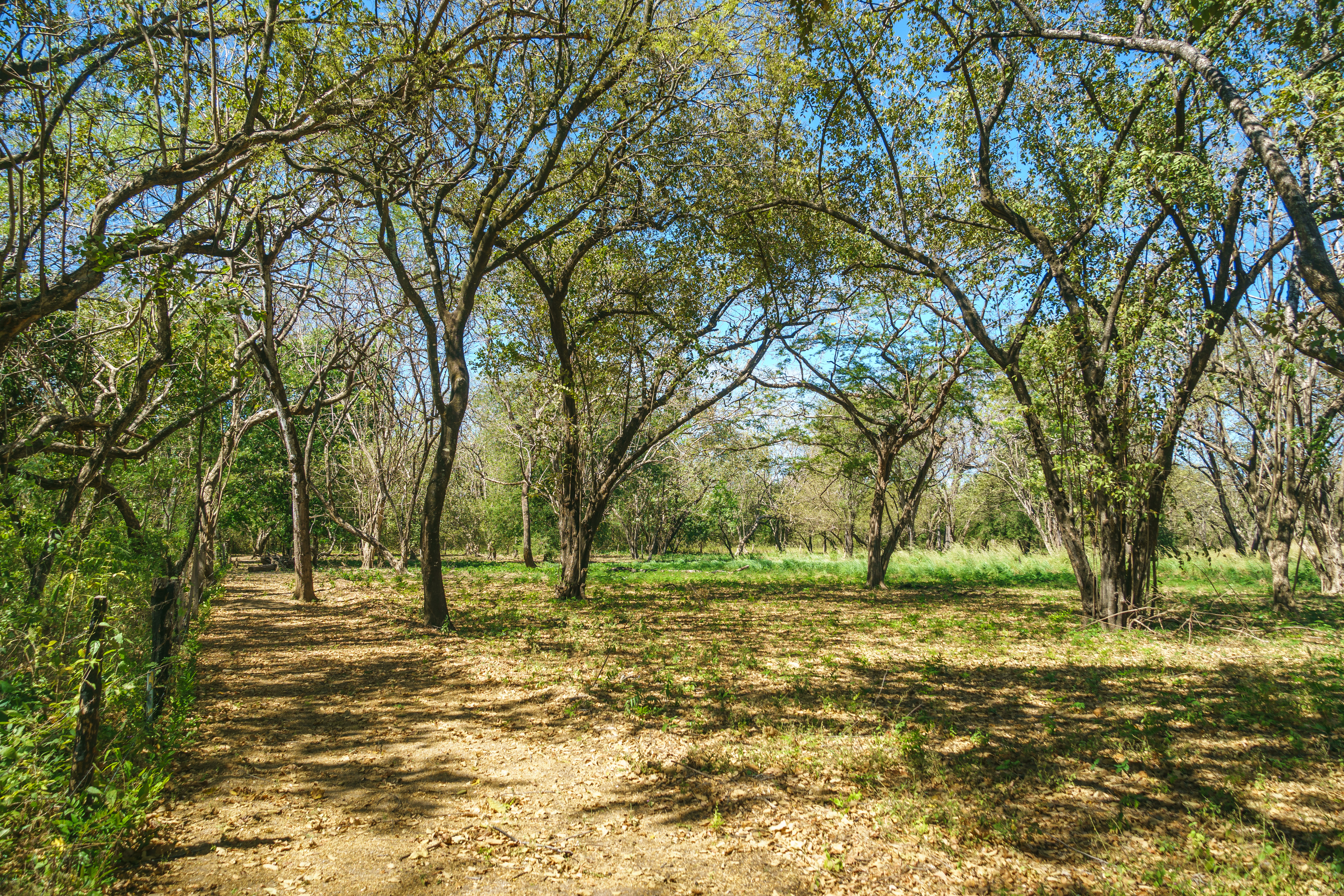 0 bed Land For Sale in Playa Grande, Guanacaste - thumb 22
