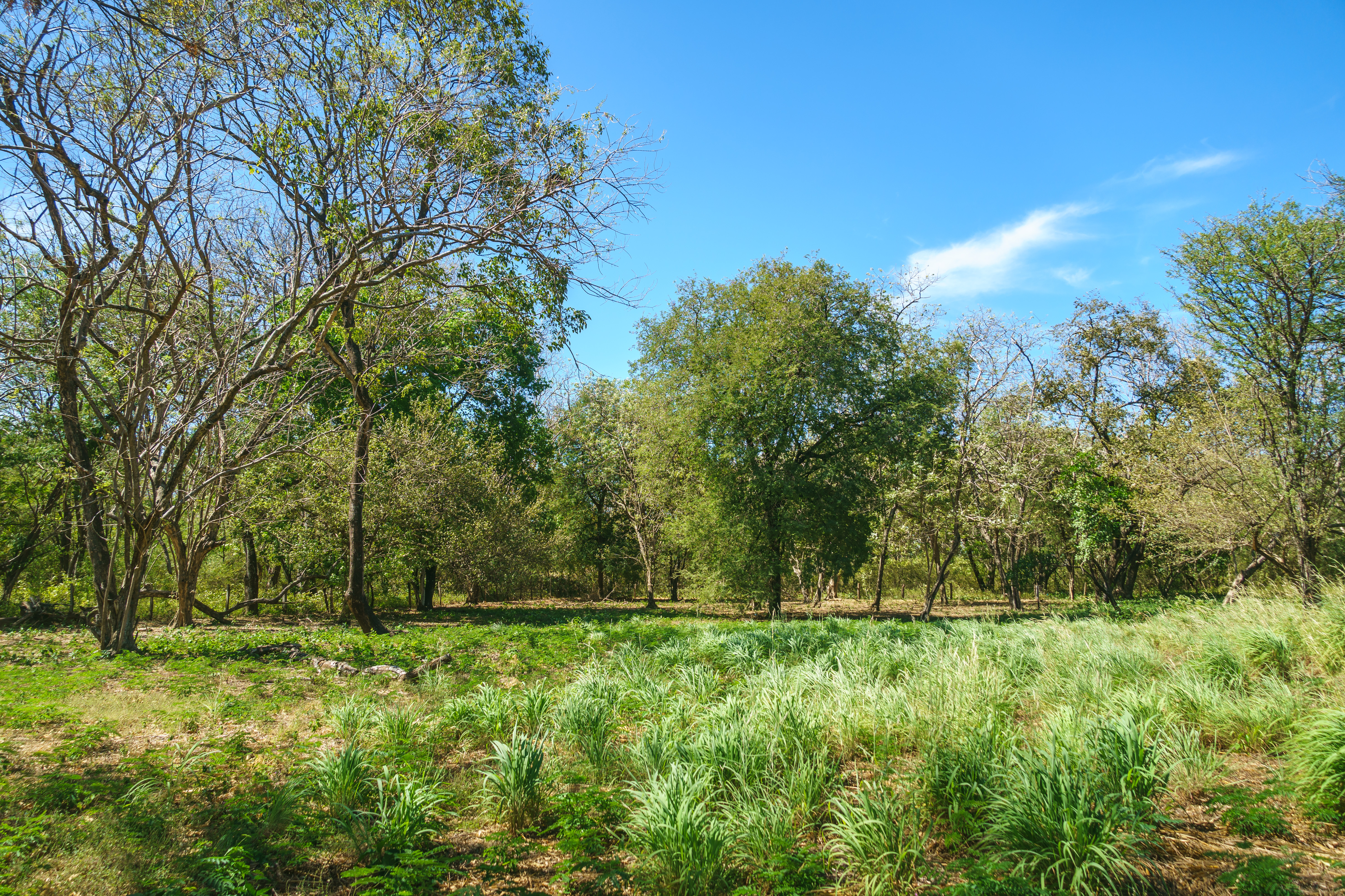 0 bed Land For Sale in Playa Grande, Guanacaste - thumb 23
