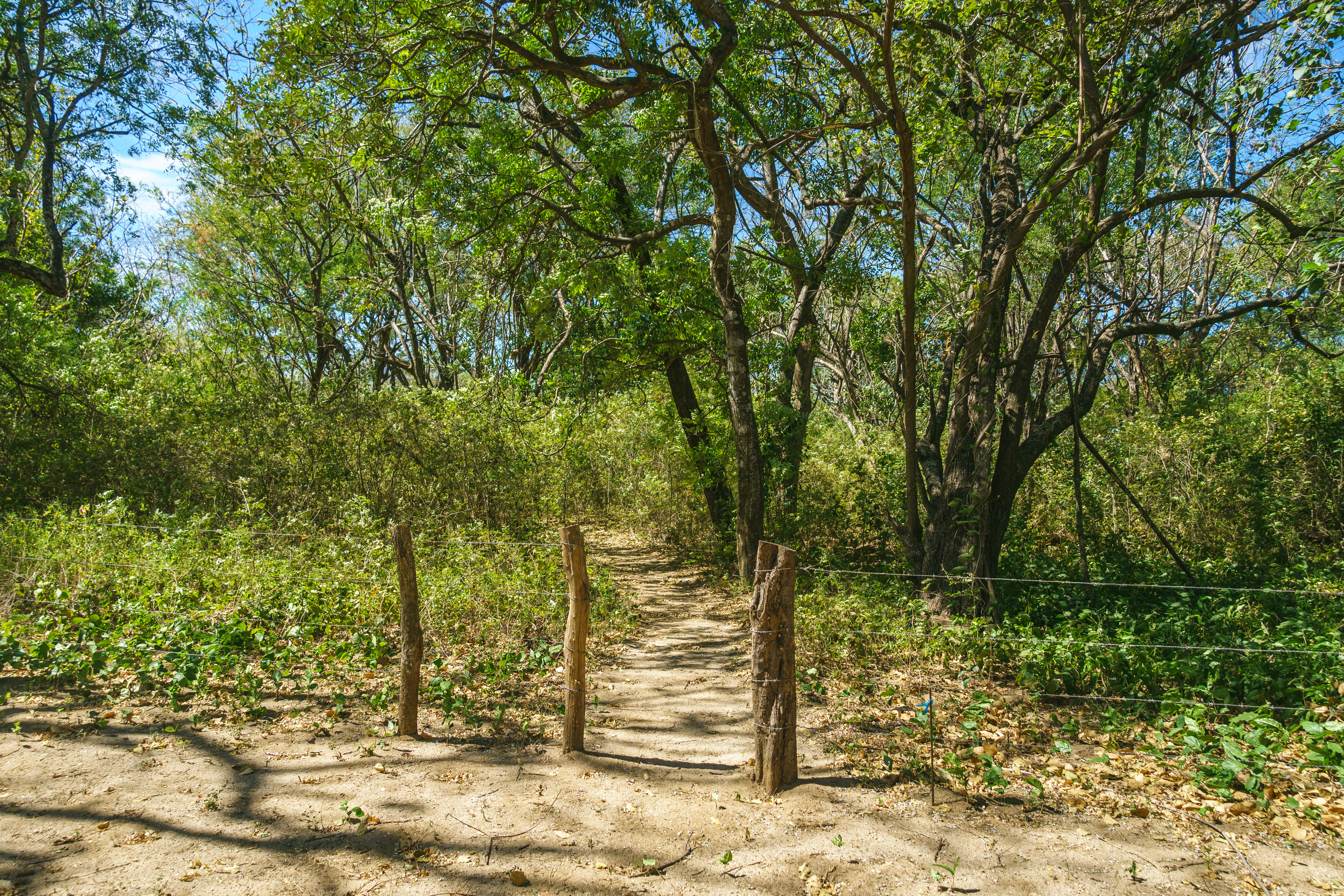 0 bed Land For Sale in Playa Grande, Guanacaste - thumb 26