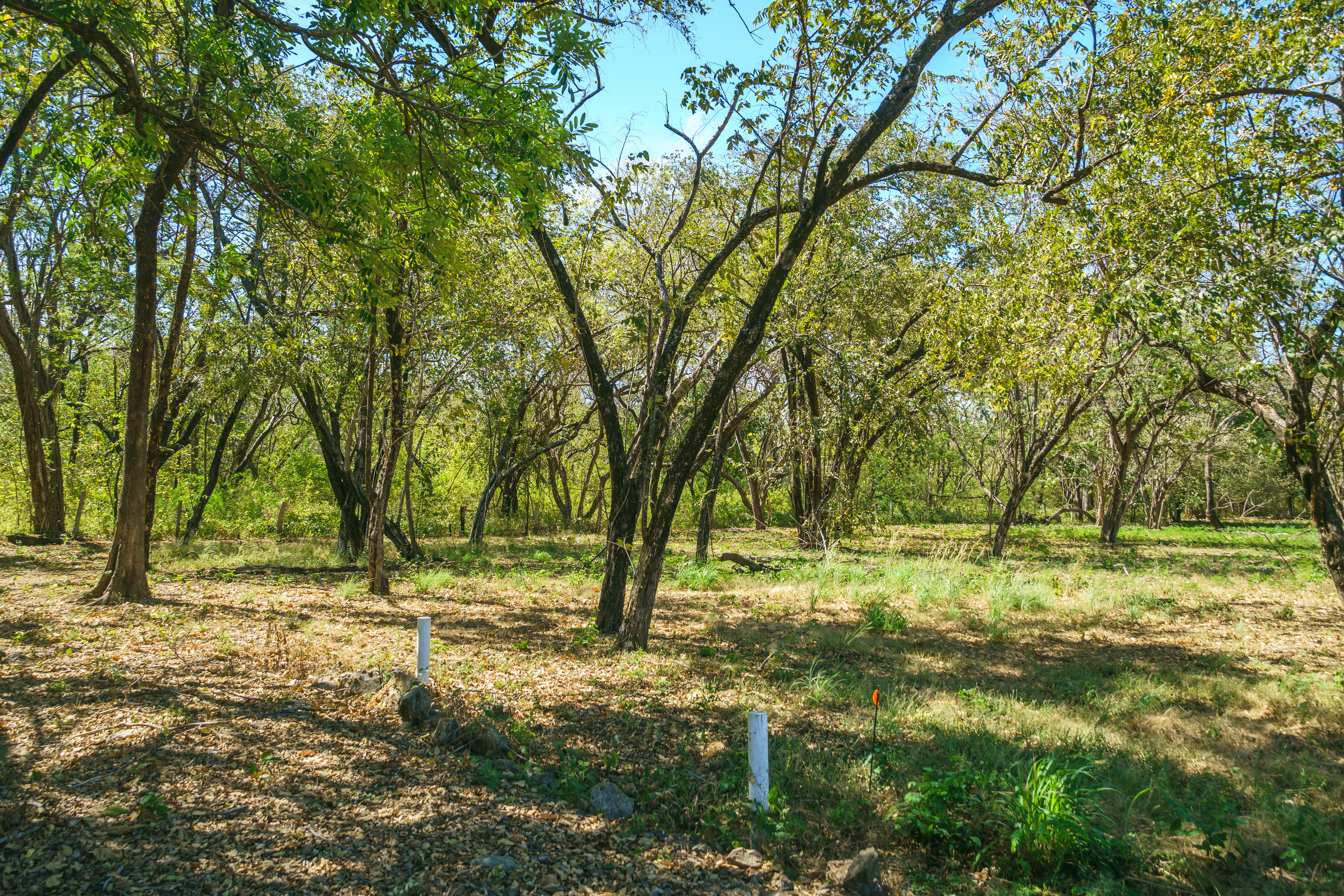 0 bed Land For Sale in Playa Grande, Guanacaste - thumb 20