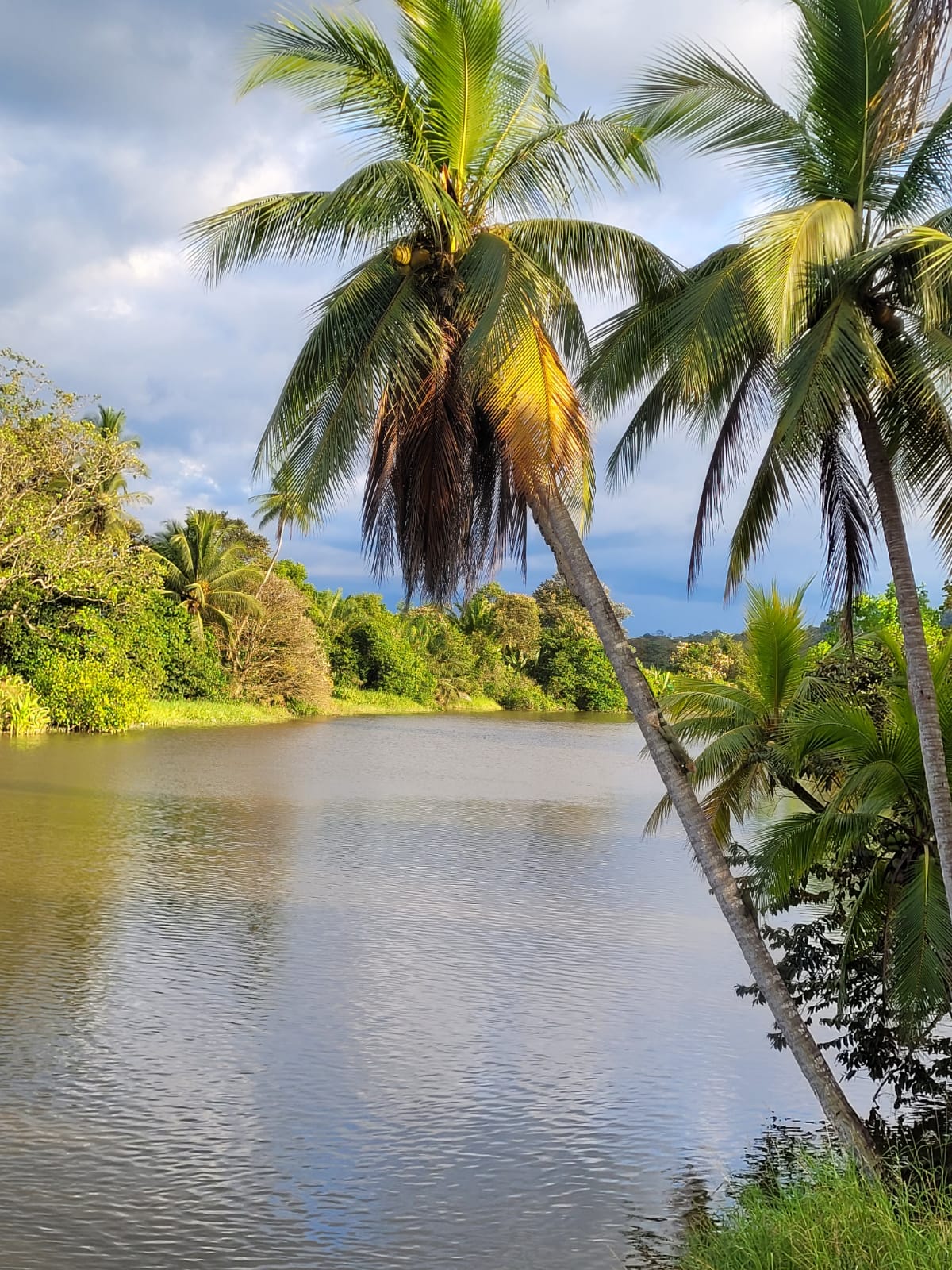 2 bed Single Family Homes For Sale in Sierpe, Puntarenas - thumb 1