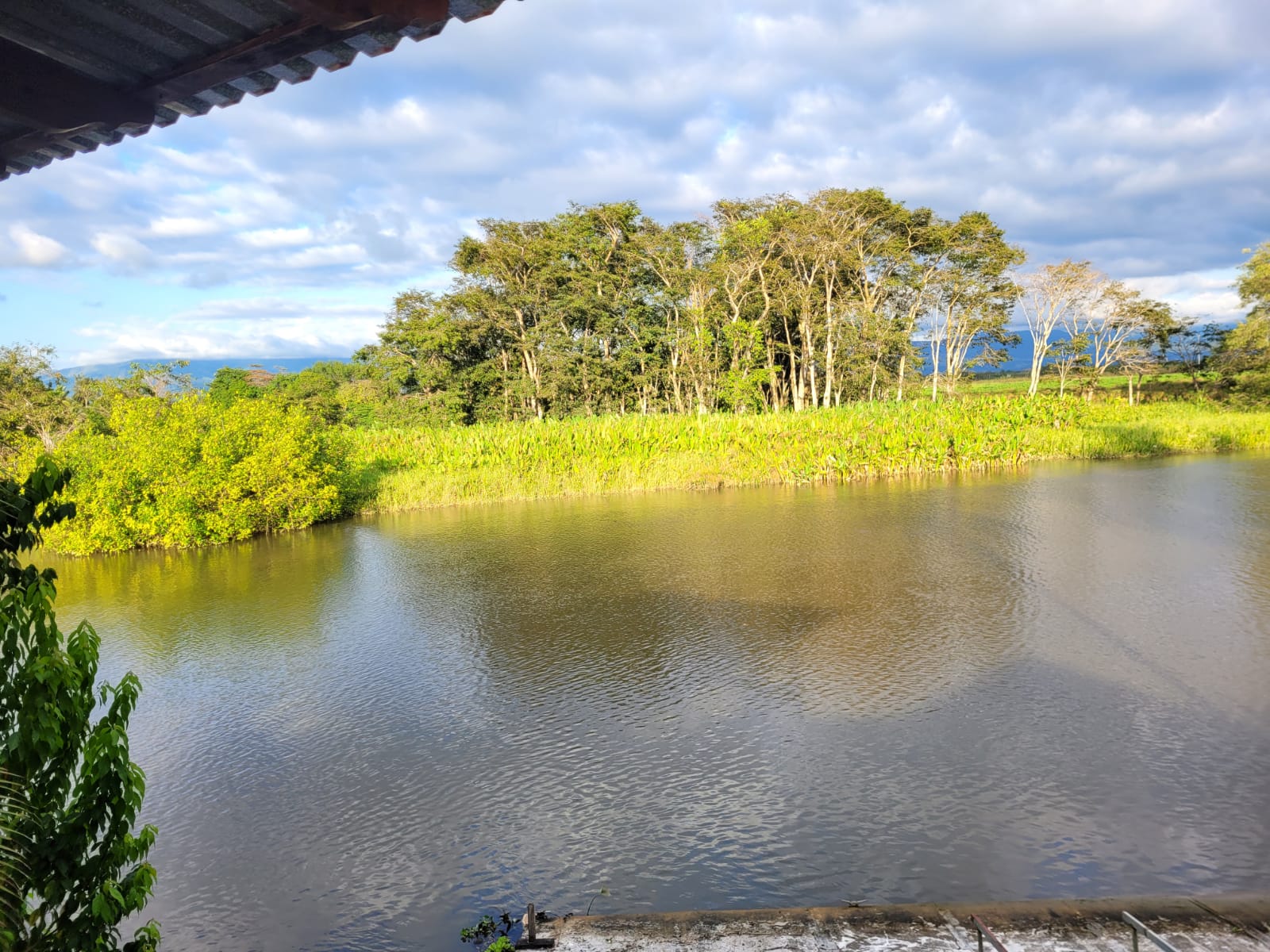 2 bed Single Family Homes For Sale in Sierpe, Puntarenas - thumb 16