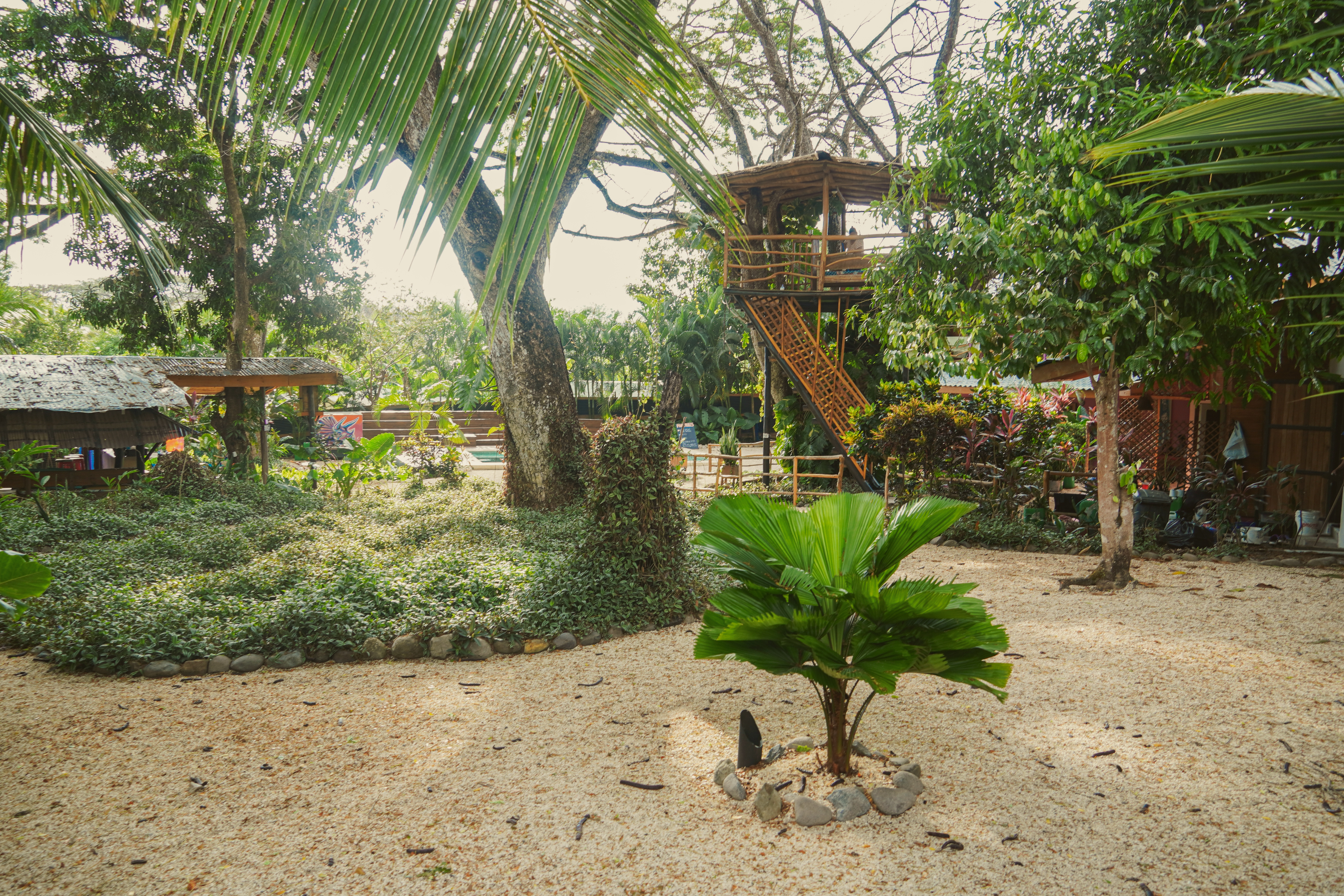 12 bed Hotel / Leisure For Sale in Santa Teresa, Puntarenas - thumb 2