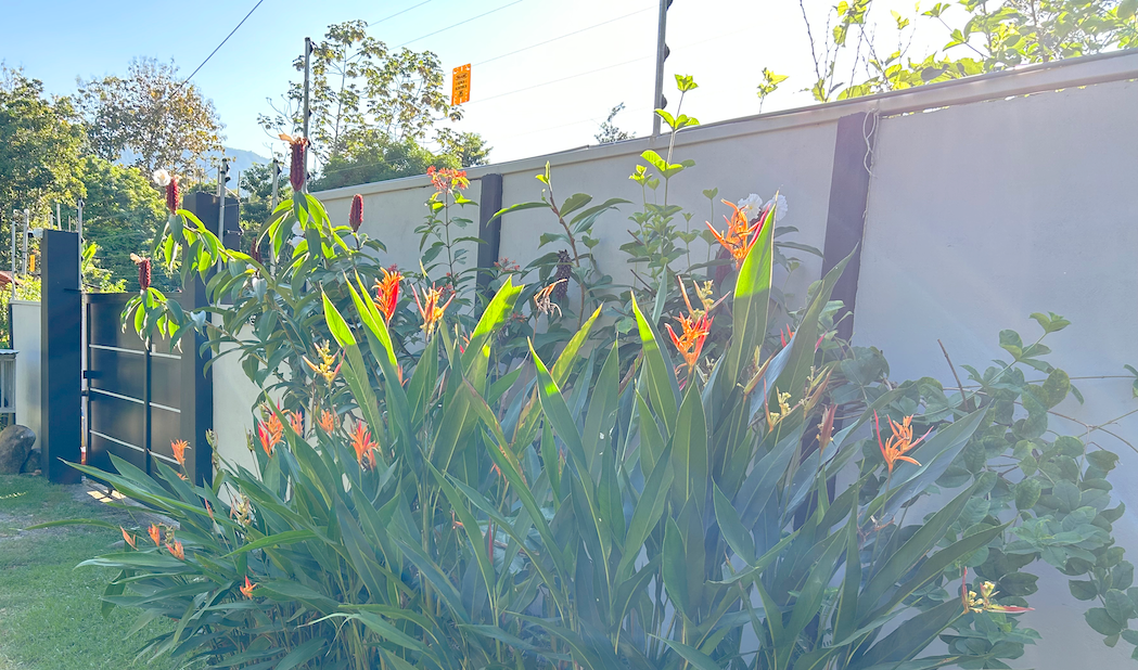 3 bed Single Family Homes For Sale in Uvita, Puntarenas - thumb 5